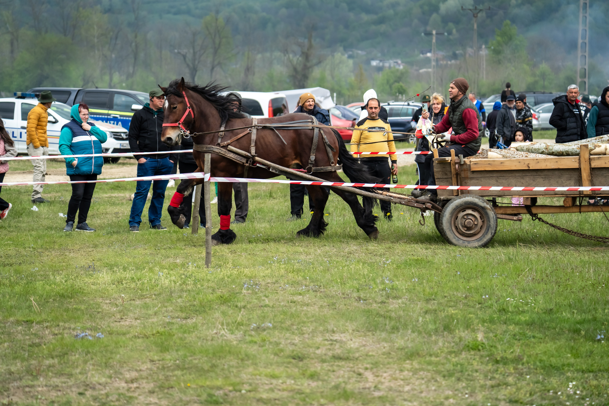 Concurs Ecvestru Vărbilău ediția a 4-a. Mihai Alexandra Events