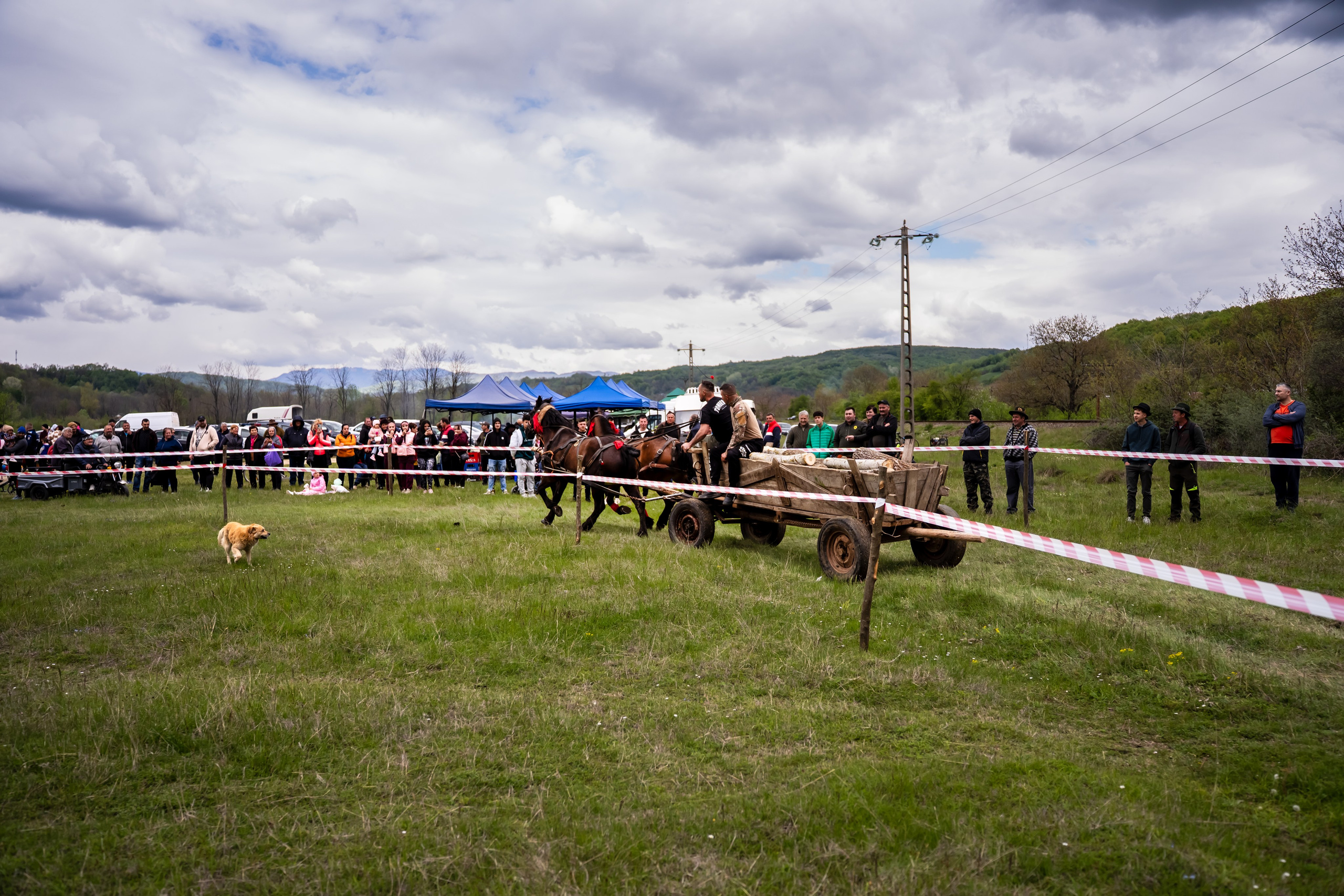 Concurs Ecvestru Vărbilău ediția a 4-a. Mihai Alexandra Events