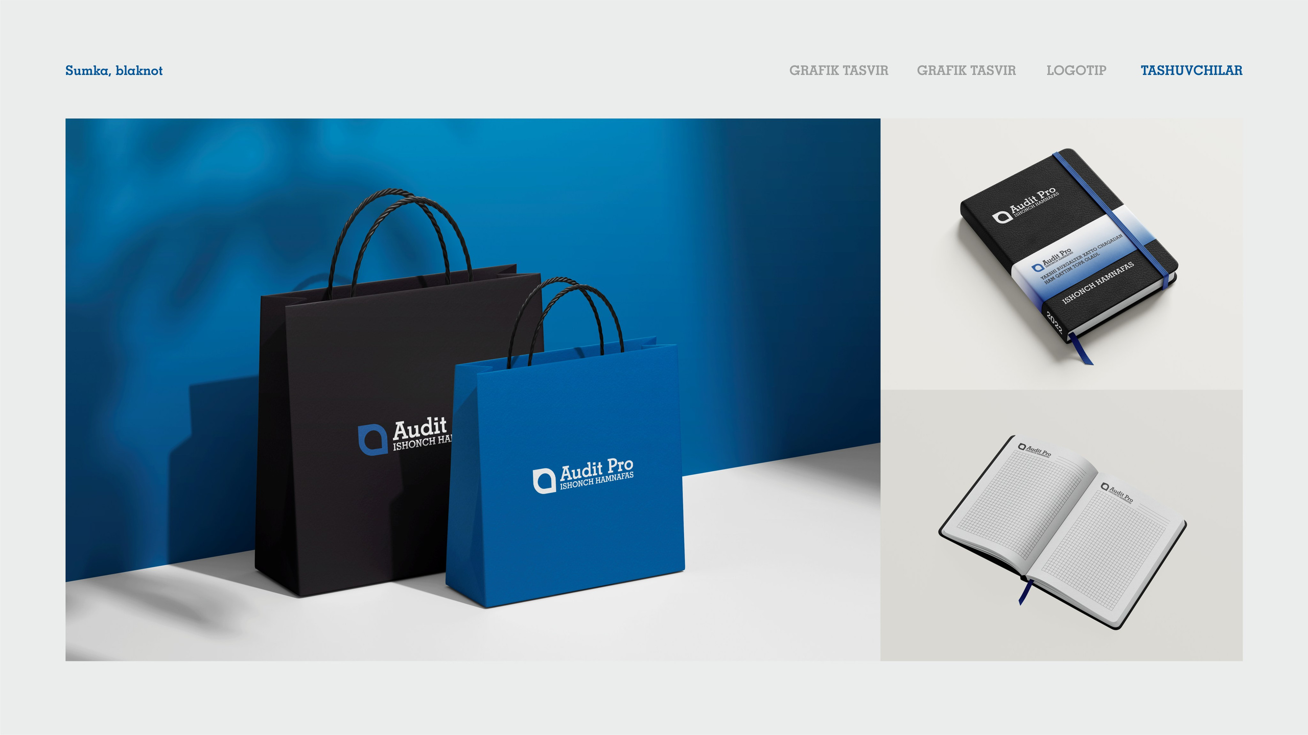 Audit Pro - Logotip. Dirov — Hayot Khodirov