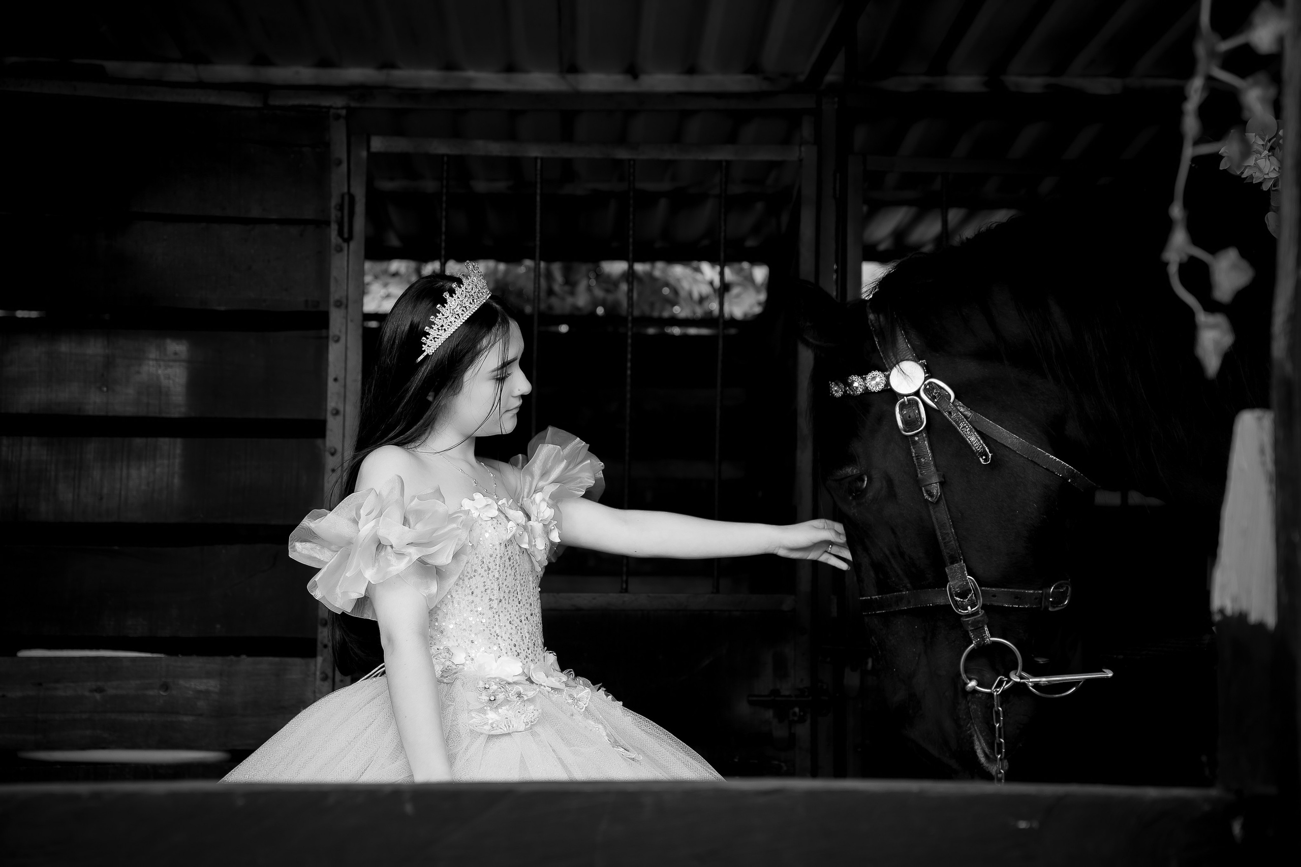 Laura. Harnol Lopez - Fotografia de Quinces & Bodas