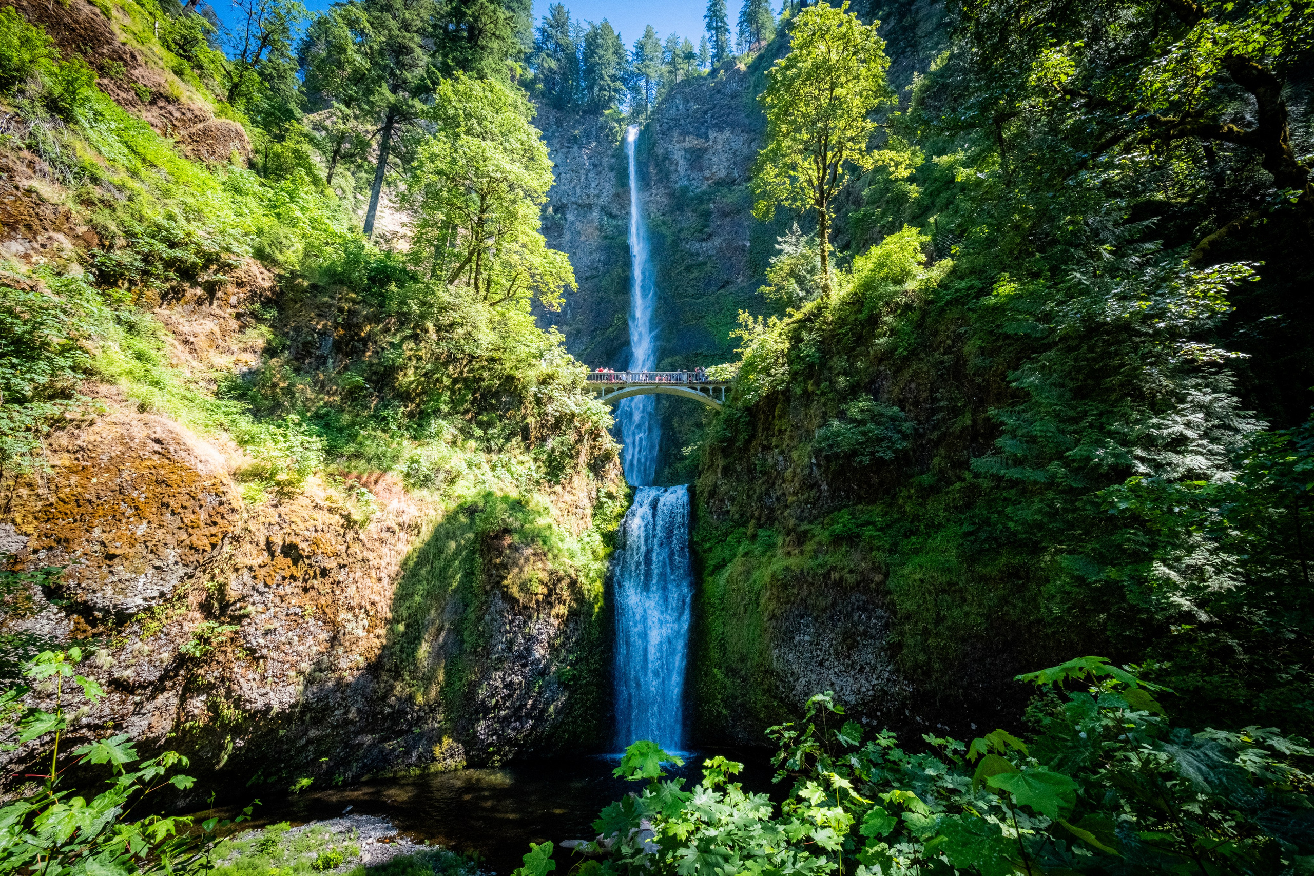 WASHINGTON / SEATTLE. Reportage concert portrait photography in the San Francisco Bay Area