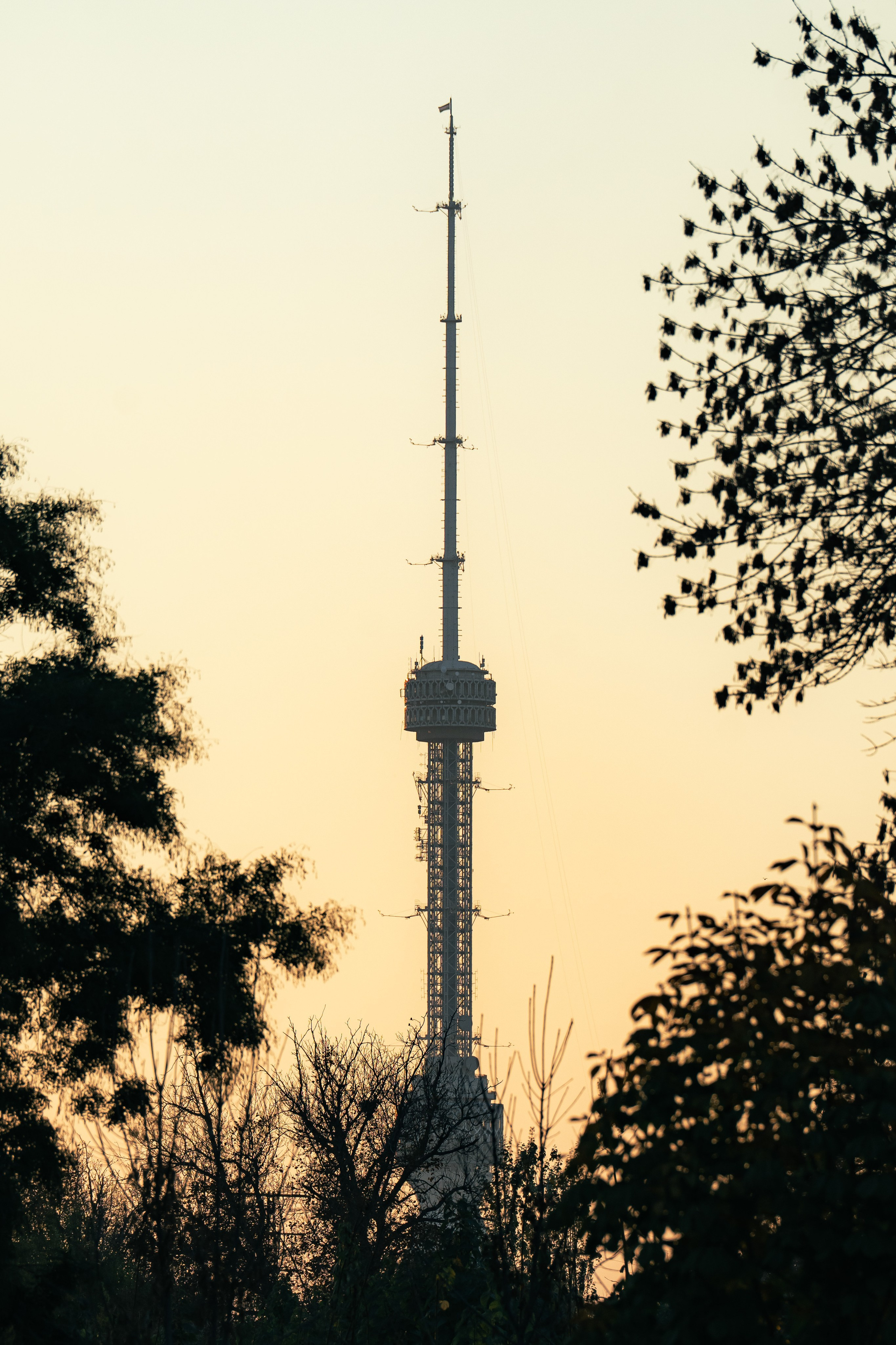 Ташкентская осень. Георгий Намазов | Фотограф в Ташкенте