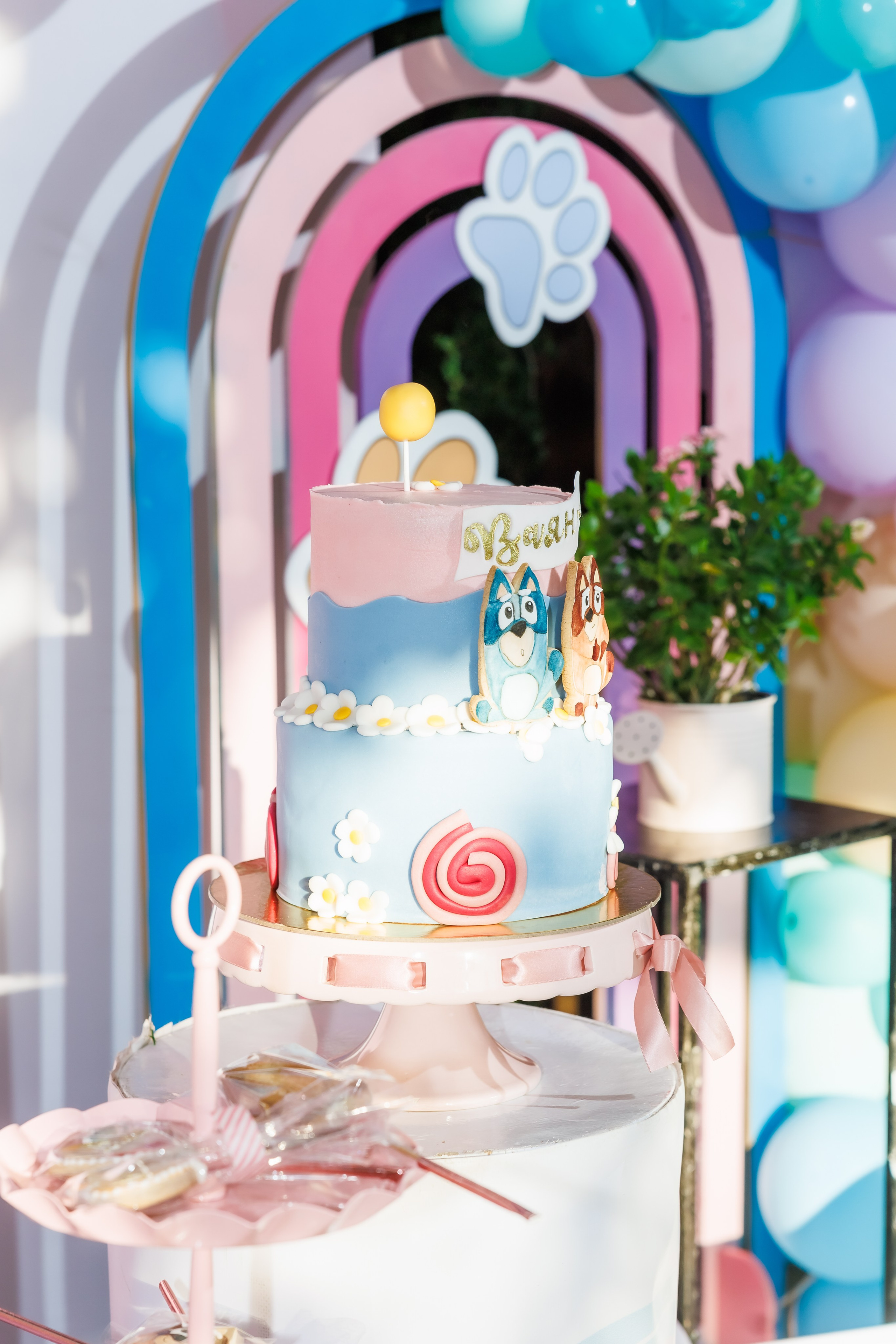 Честит Рожден Ден. Фотограф Ирина Йотова