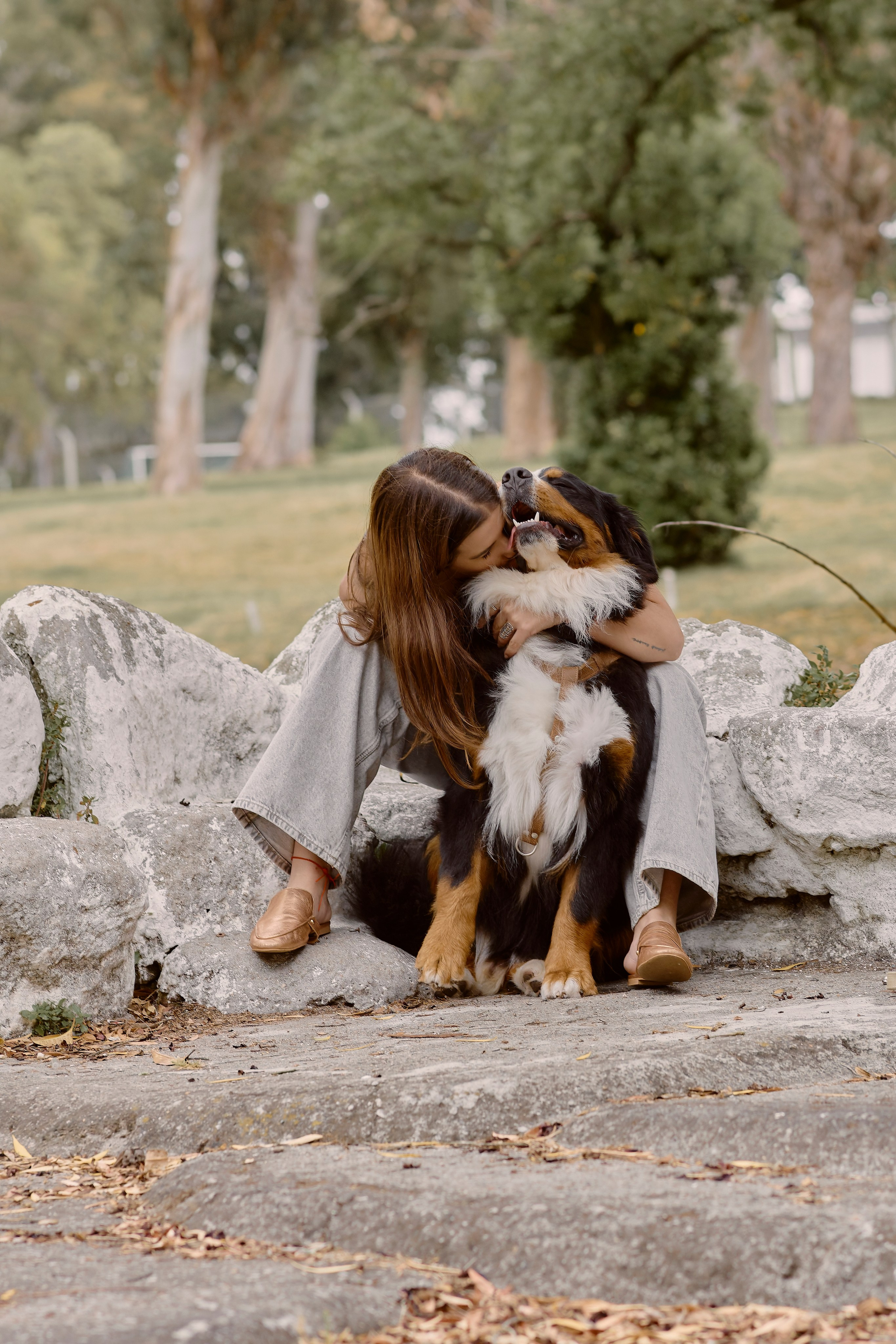 Tatiana & Hugo. Valssy – Fotografía de mascotas en Uruguay. Retratos profesionales de perros y gatos