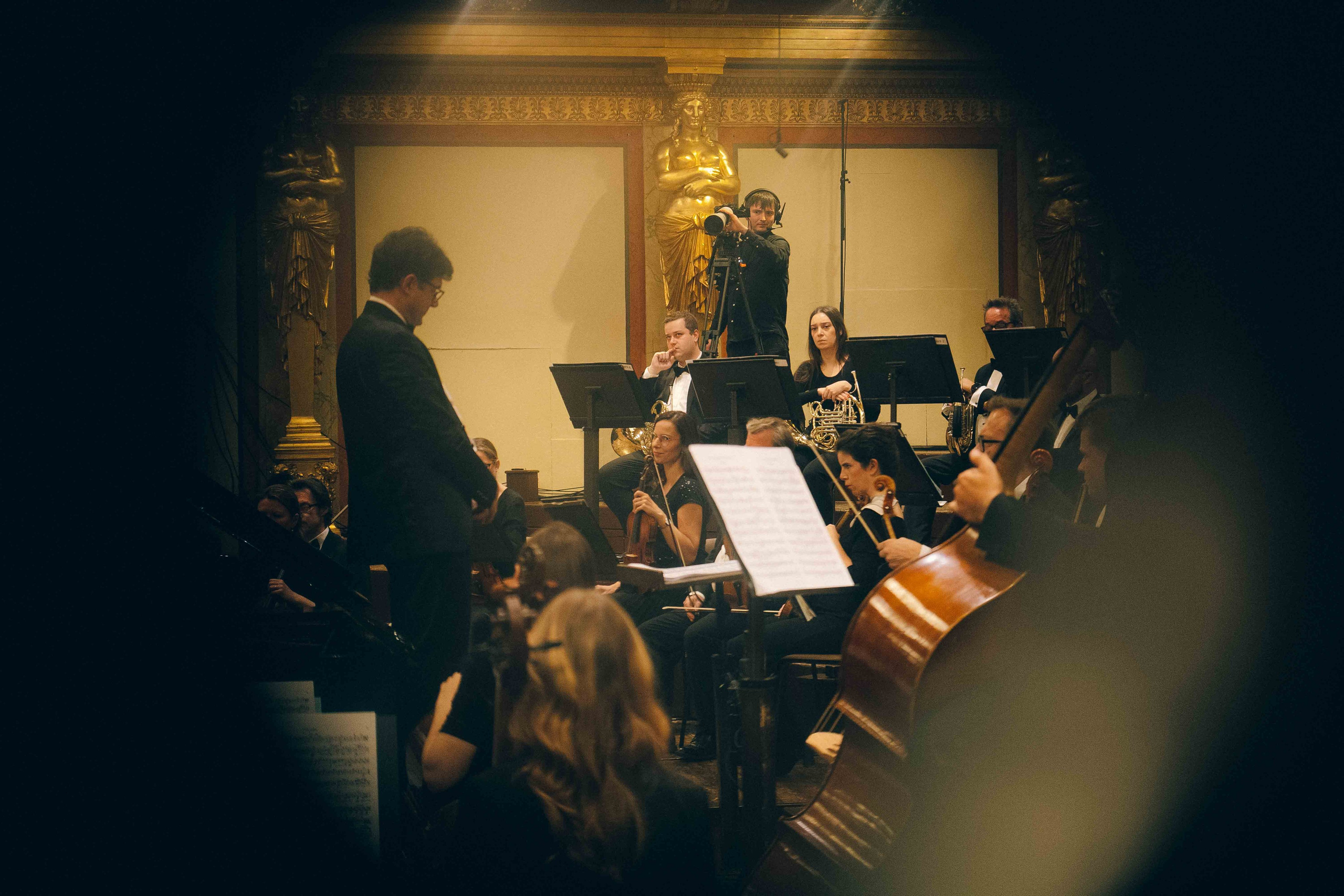 MUSIKVEREIN (VIENNA). Wedding&Event photographer Ismail Rzayev in Baku