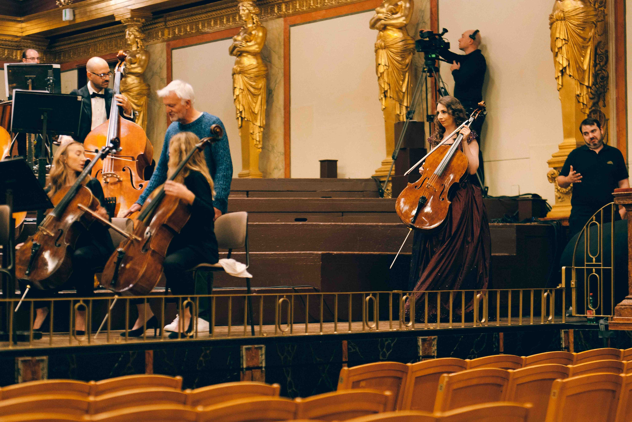 MUSIKVEREIN (VIENNA). Wedding&Event photographer Ismail Rzayev in Baku