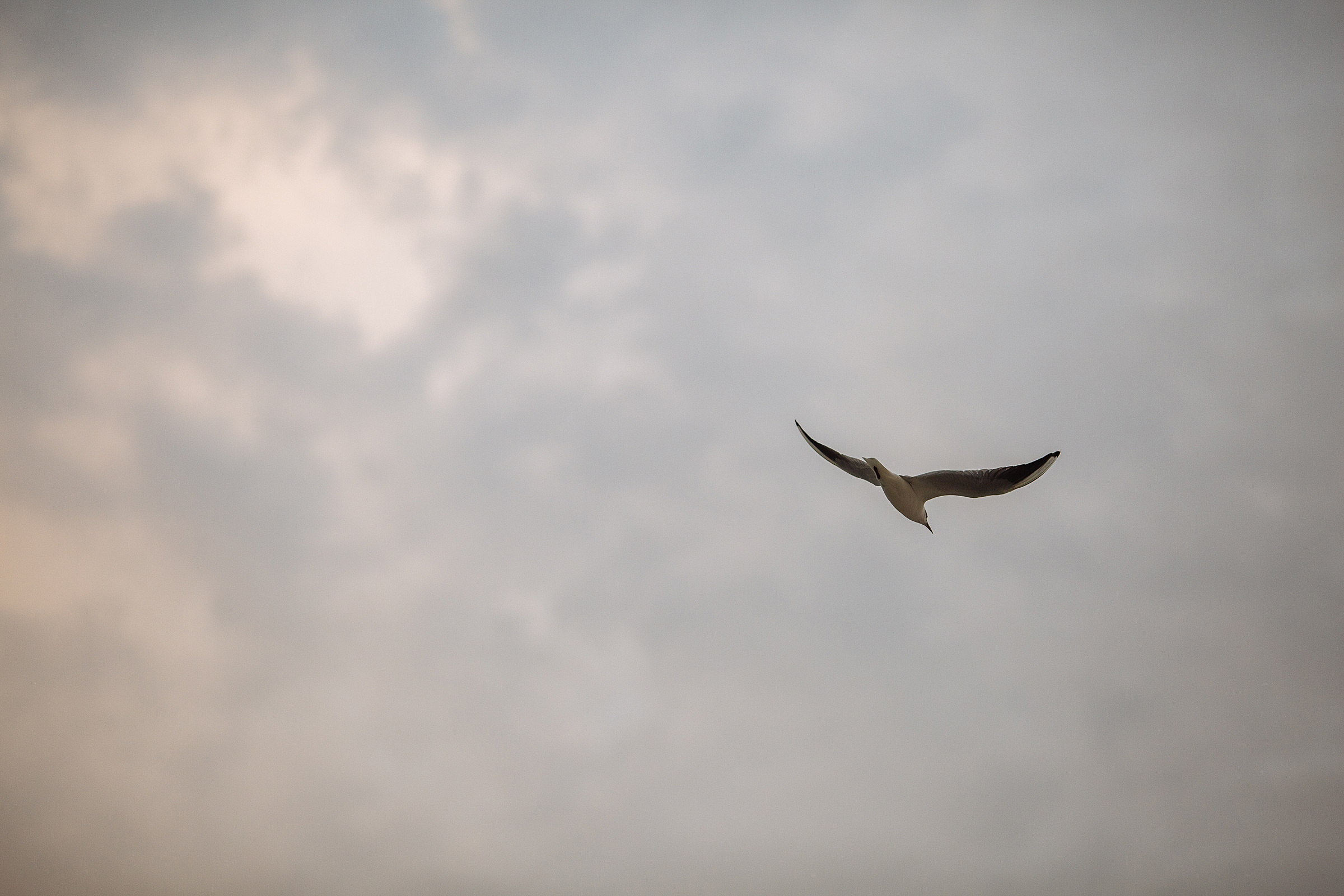 Marina and Pavel. Портретний та весільний фотограф Надія Онода