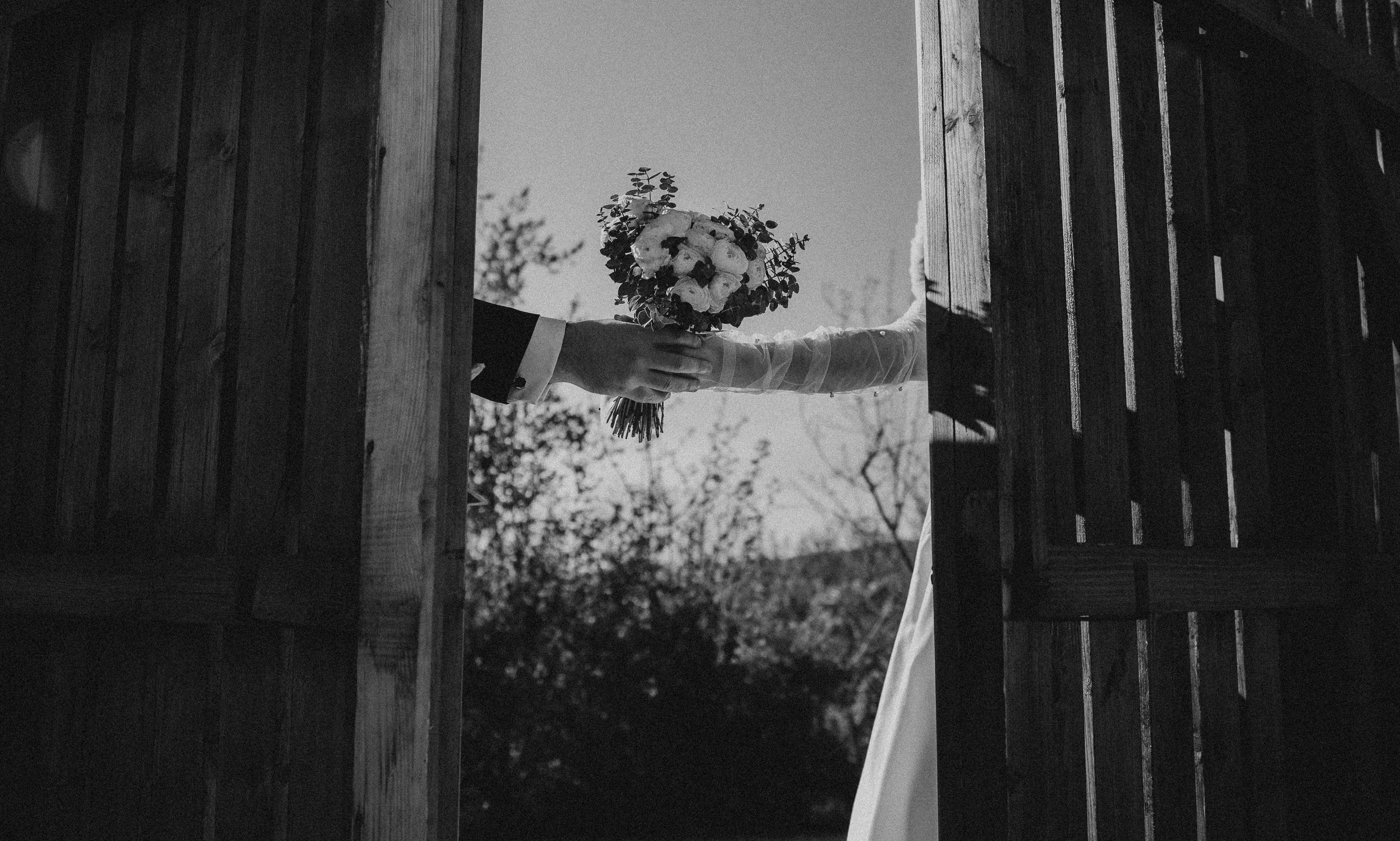 Fotografii Nuntă. Pantelimon Fotograf