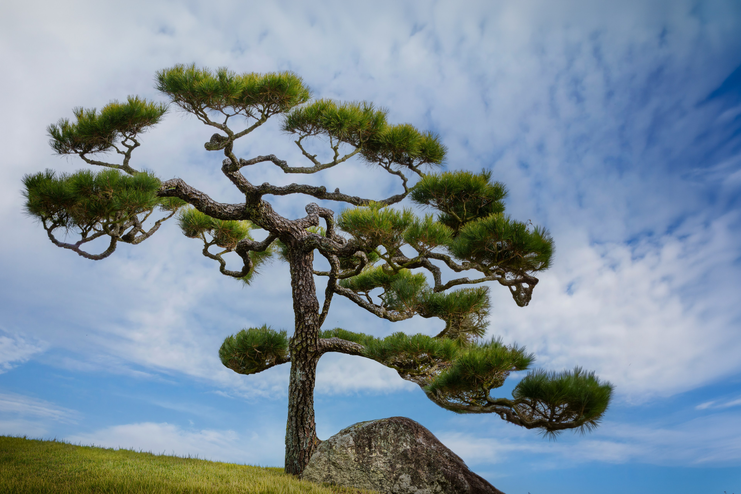 Giardino Giapponese. Olga Manukhina fotografo in Sardegna