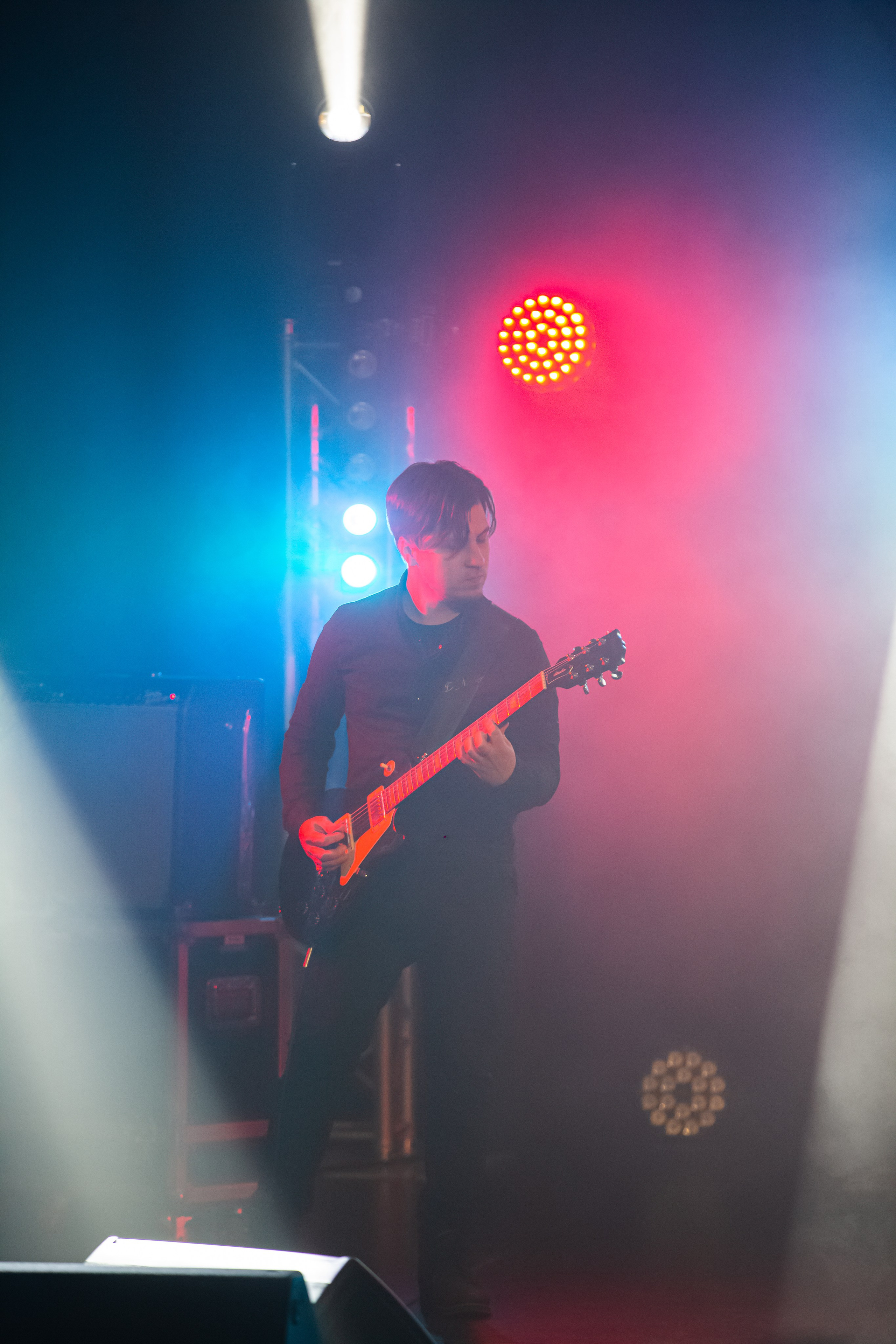 Ptashkin. Репортажний фотограф/анімаліст КИЇВ