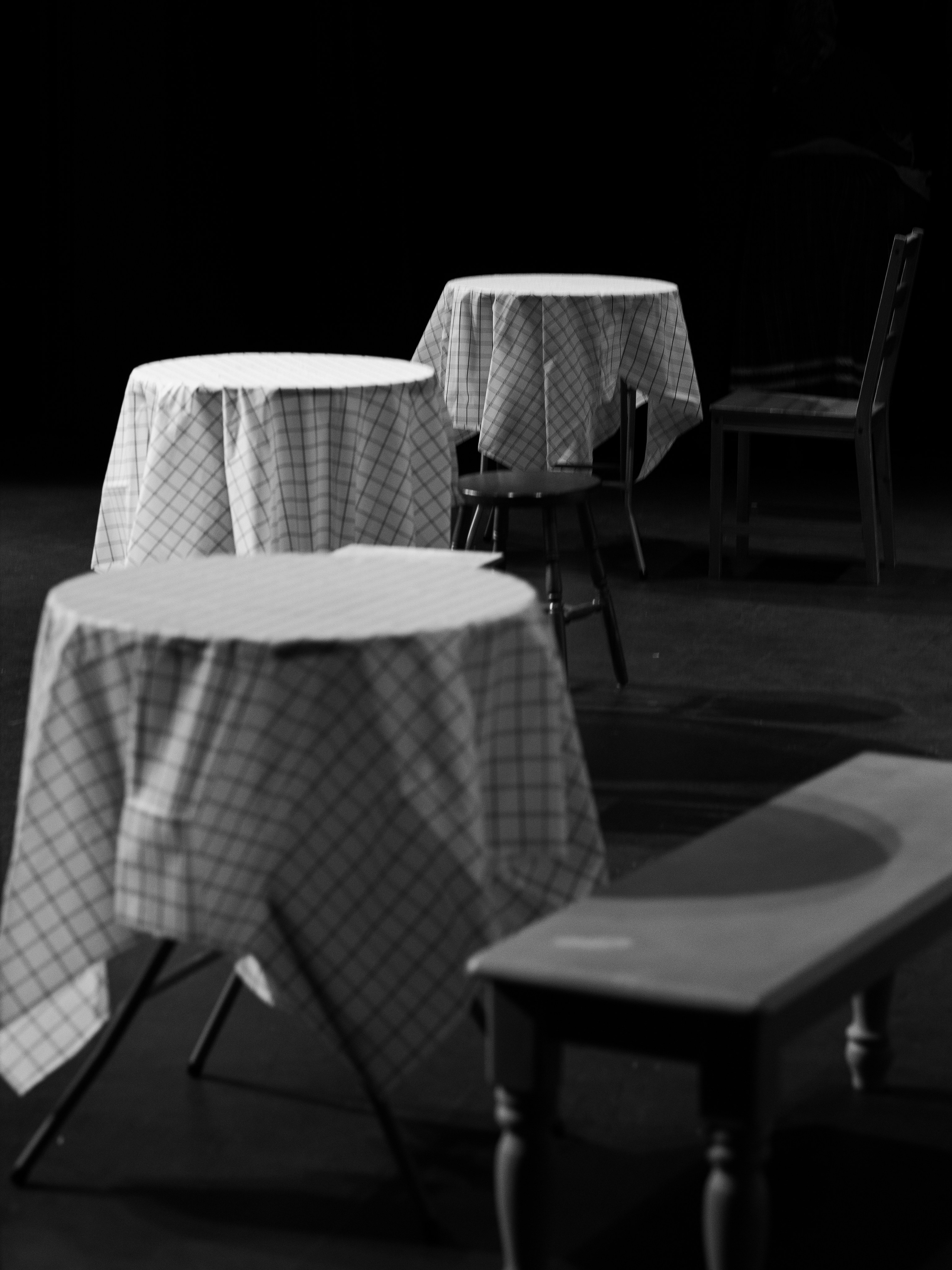 Chameleon — Memorial prayer. Yana Bobrova | Artistic Photography