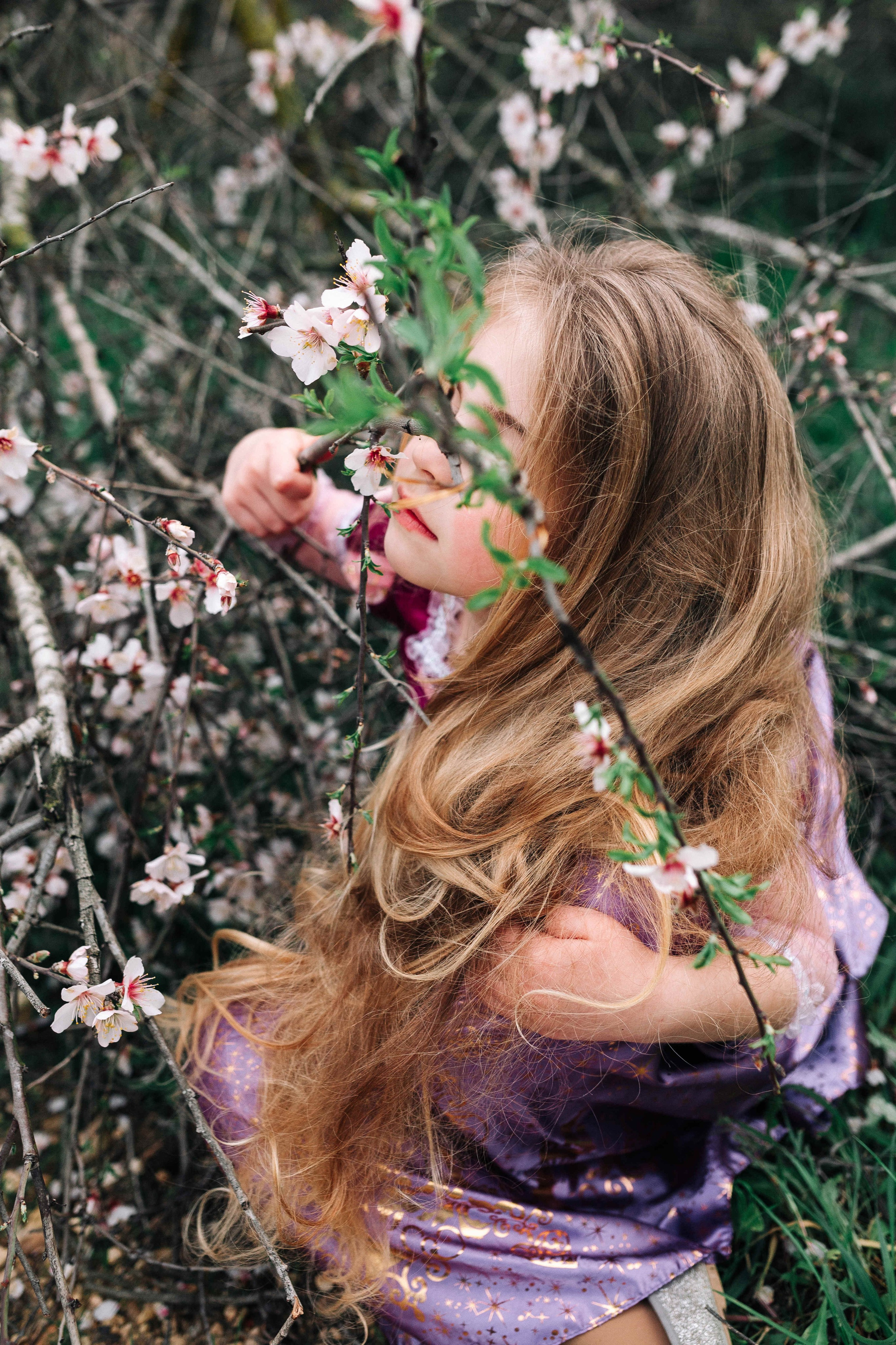 END OF WINTER. Https://shi-photo.com/