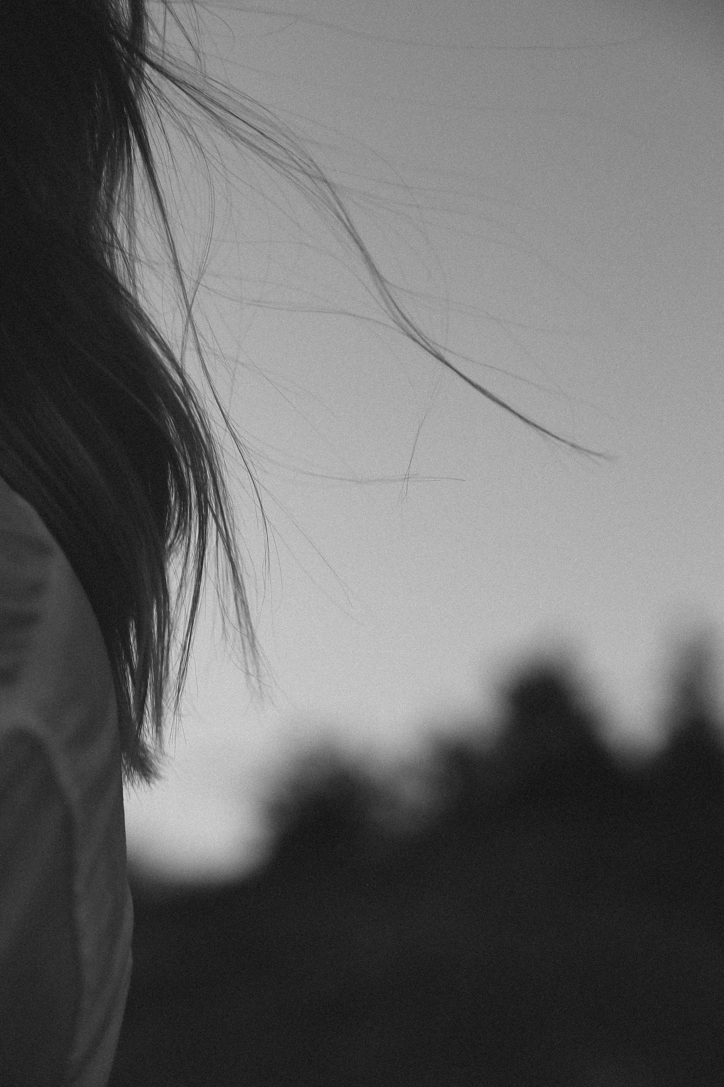 PORTRAIT OF YOU. MAIN