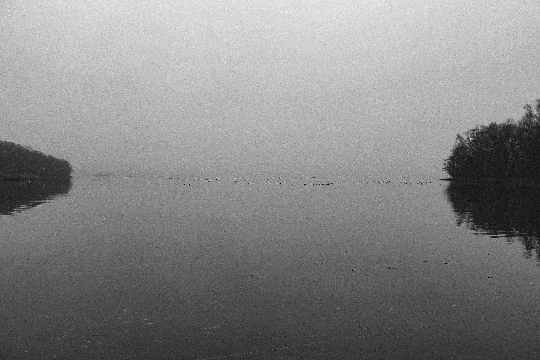 MATTIAS & IVANAS FAMILY. MAIN