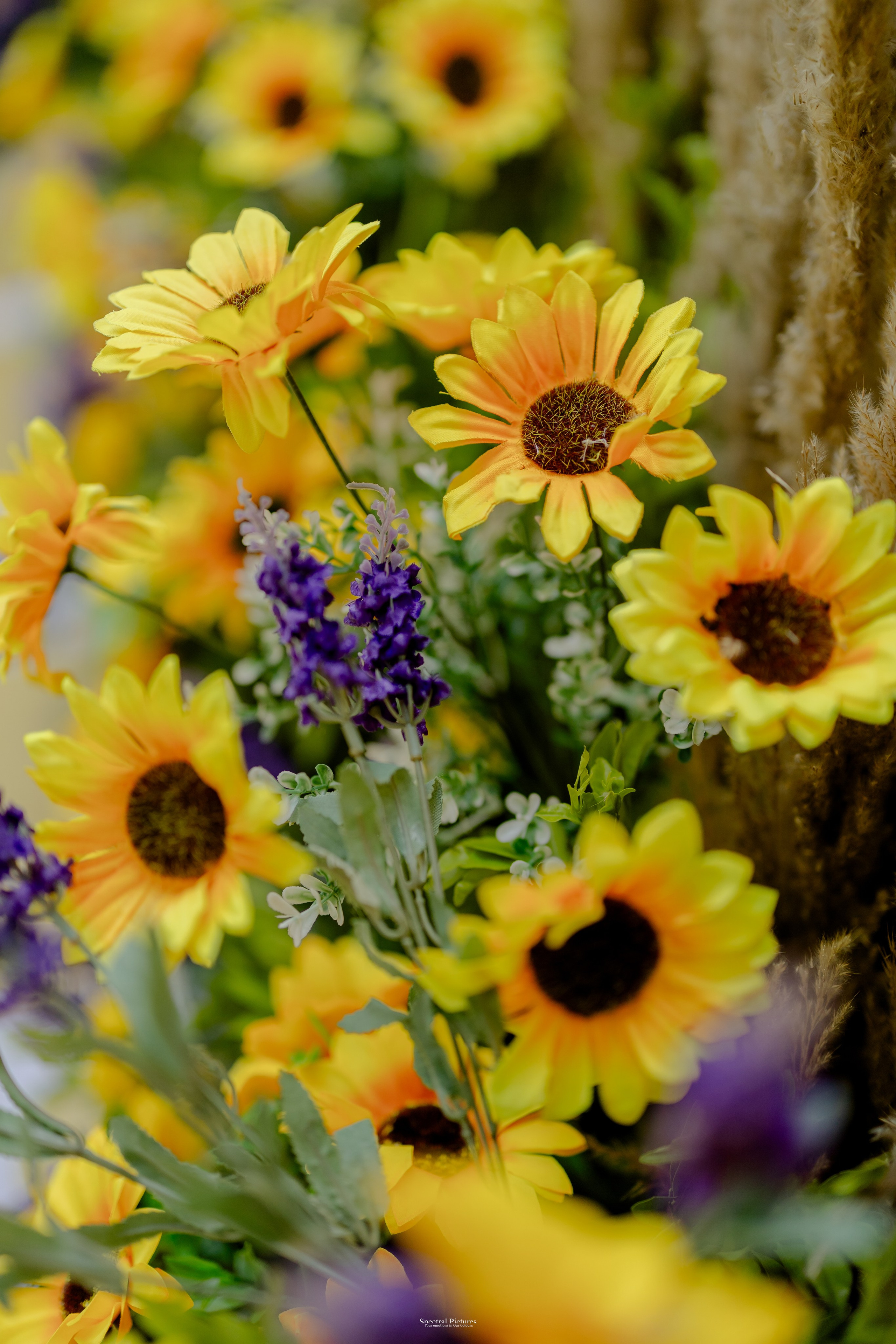 “Bob’s Bar to The Big Day — Starring Amulya & Aditya”