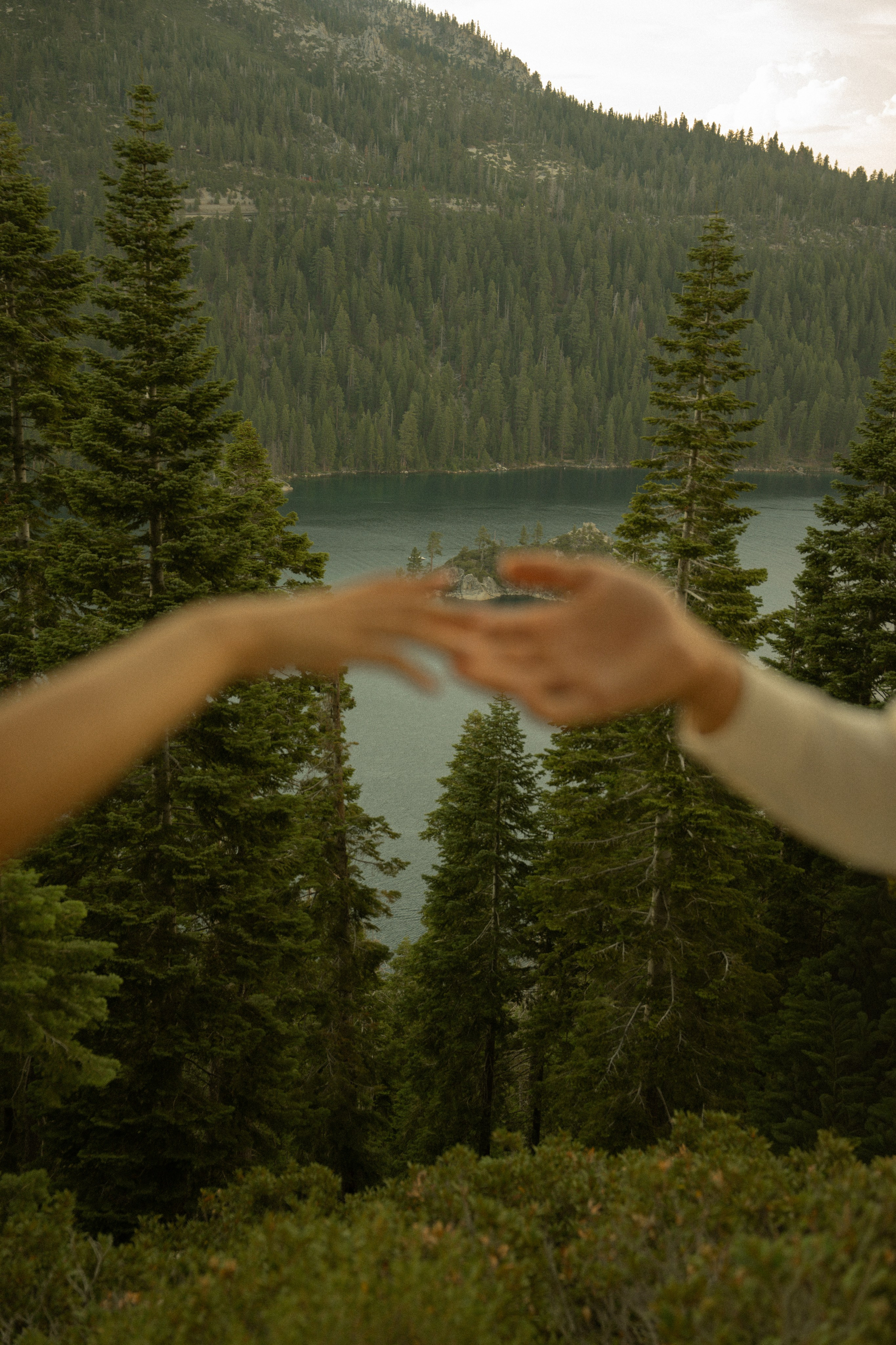 Lake Tahoe Elopement & Wedding Photographer | Nadia