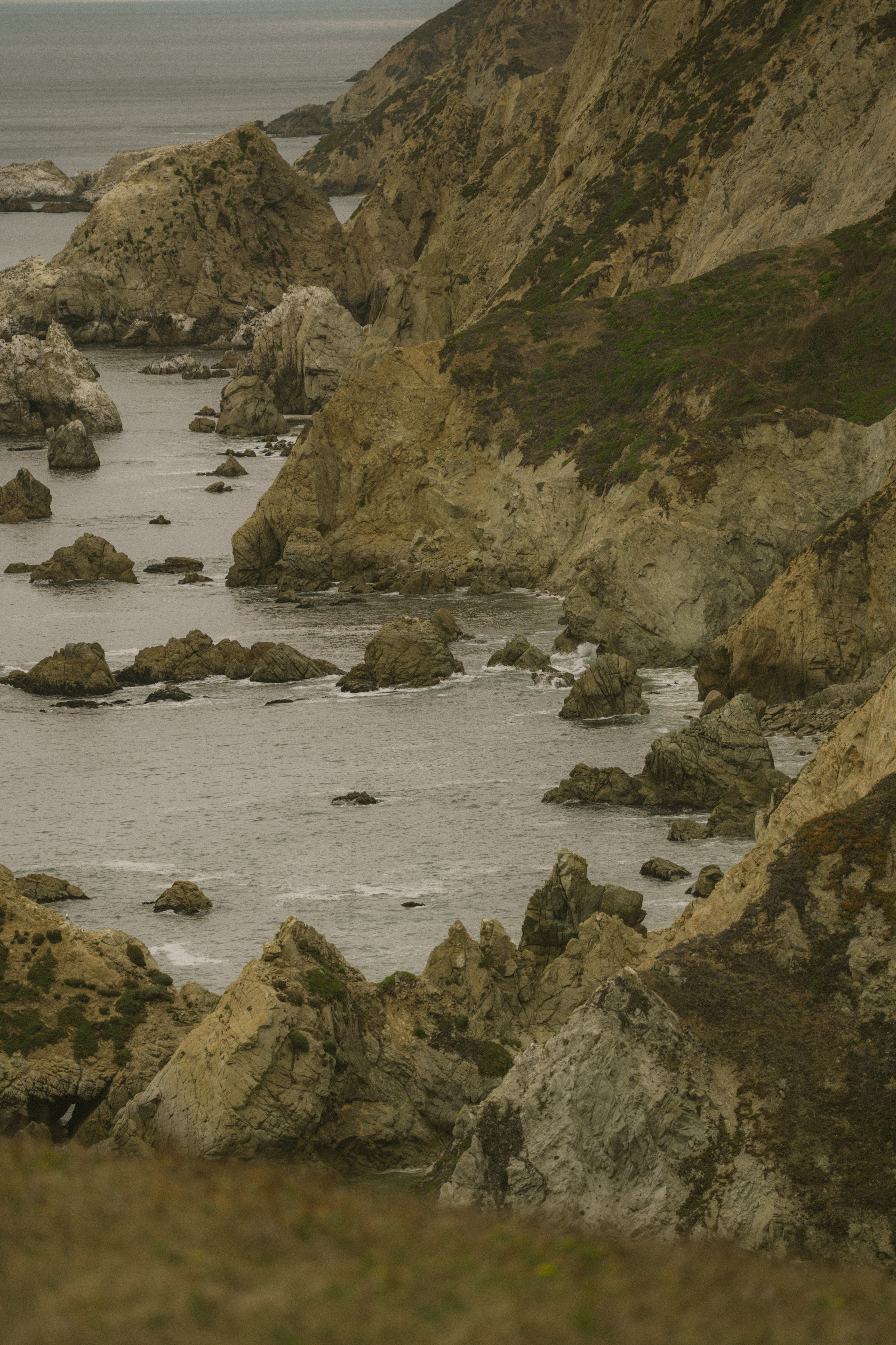 Proposal | Point Reyes. San Francisco Wedding & Elopement Photographeк | photography_of.nadia