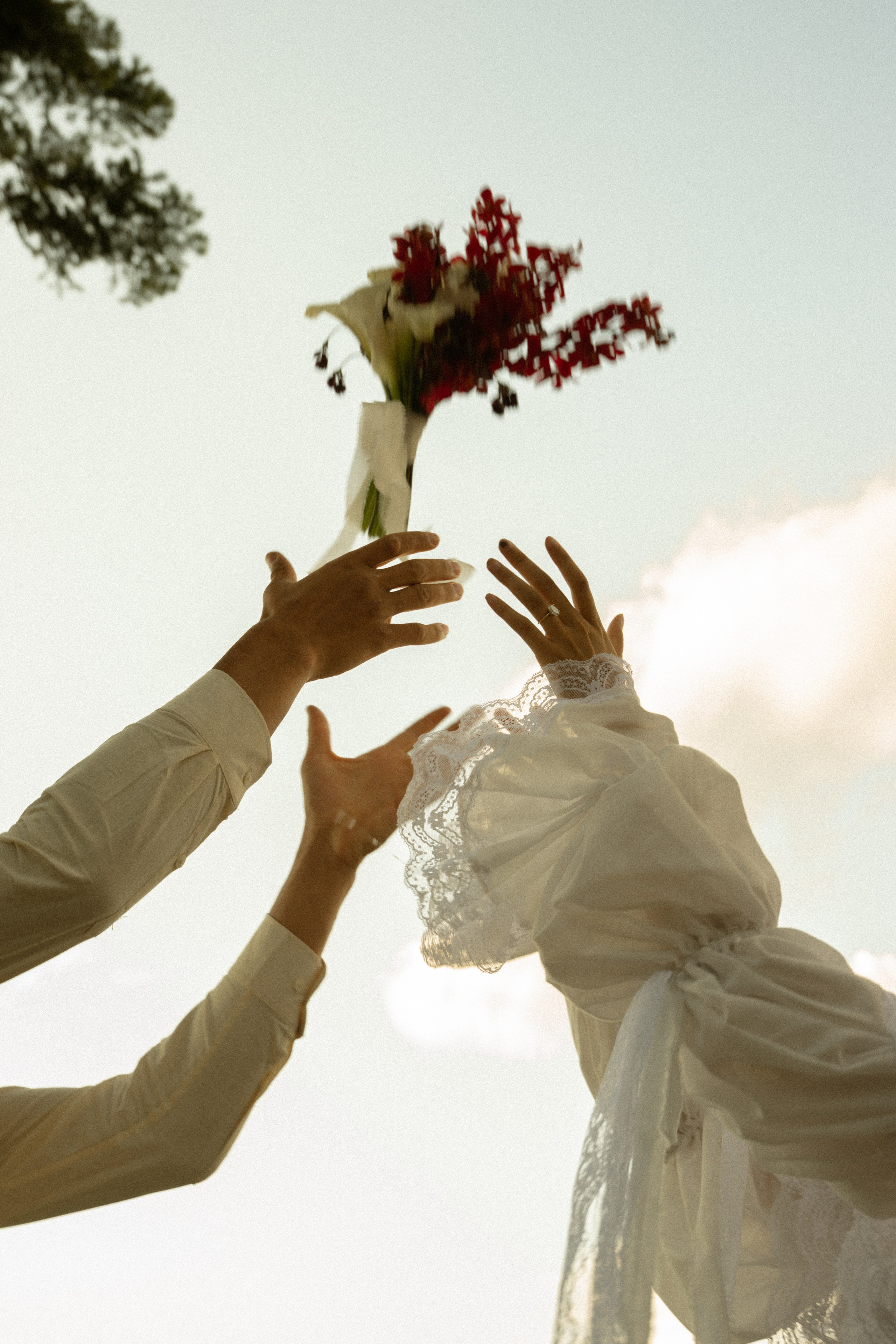 Lake Tahoe Elopement & Wedding Photographer | Nadia