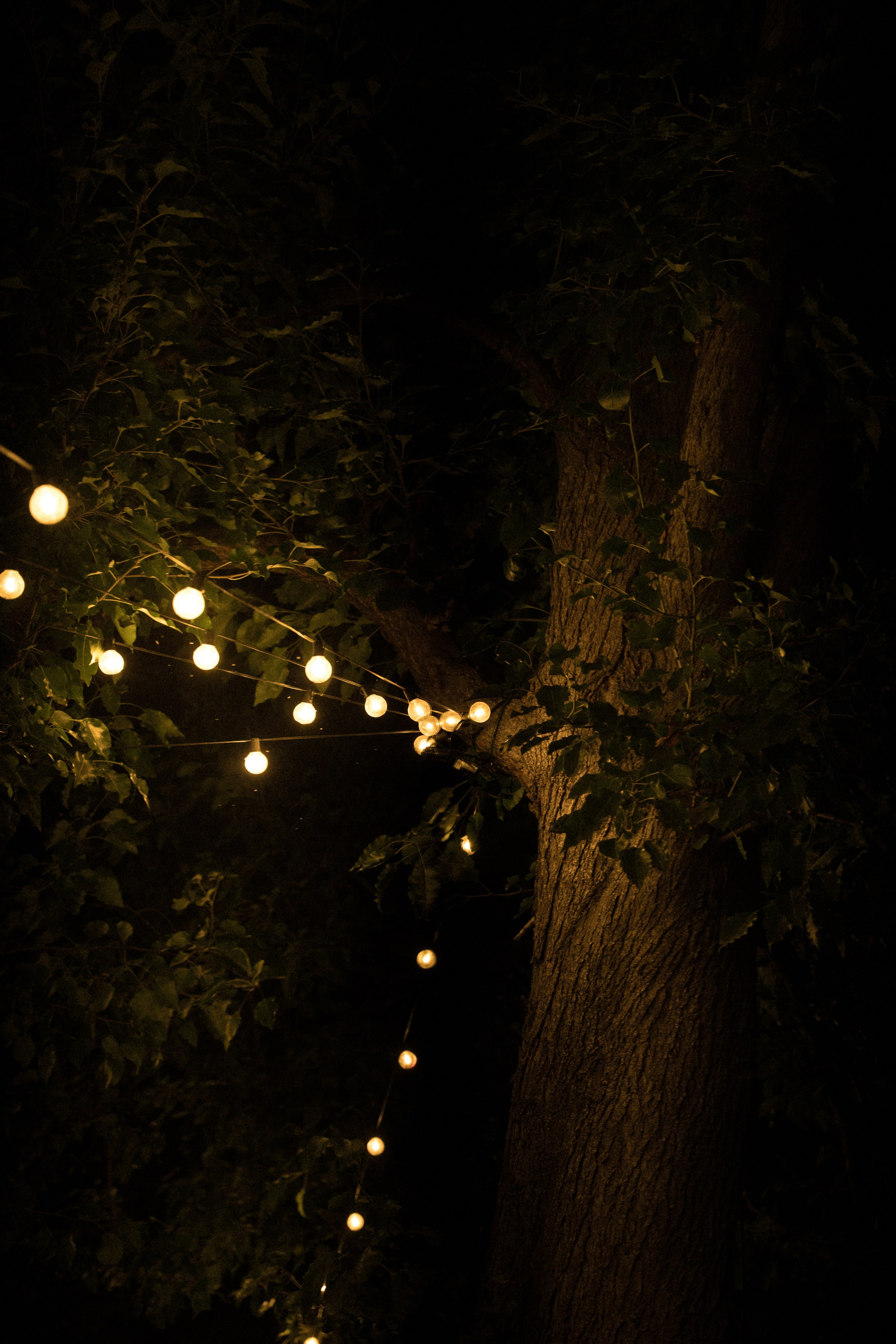 Wedding | Bay Area. San Francisco Wedding & Elopement Photographeк | photography_of.nadia