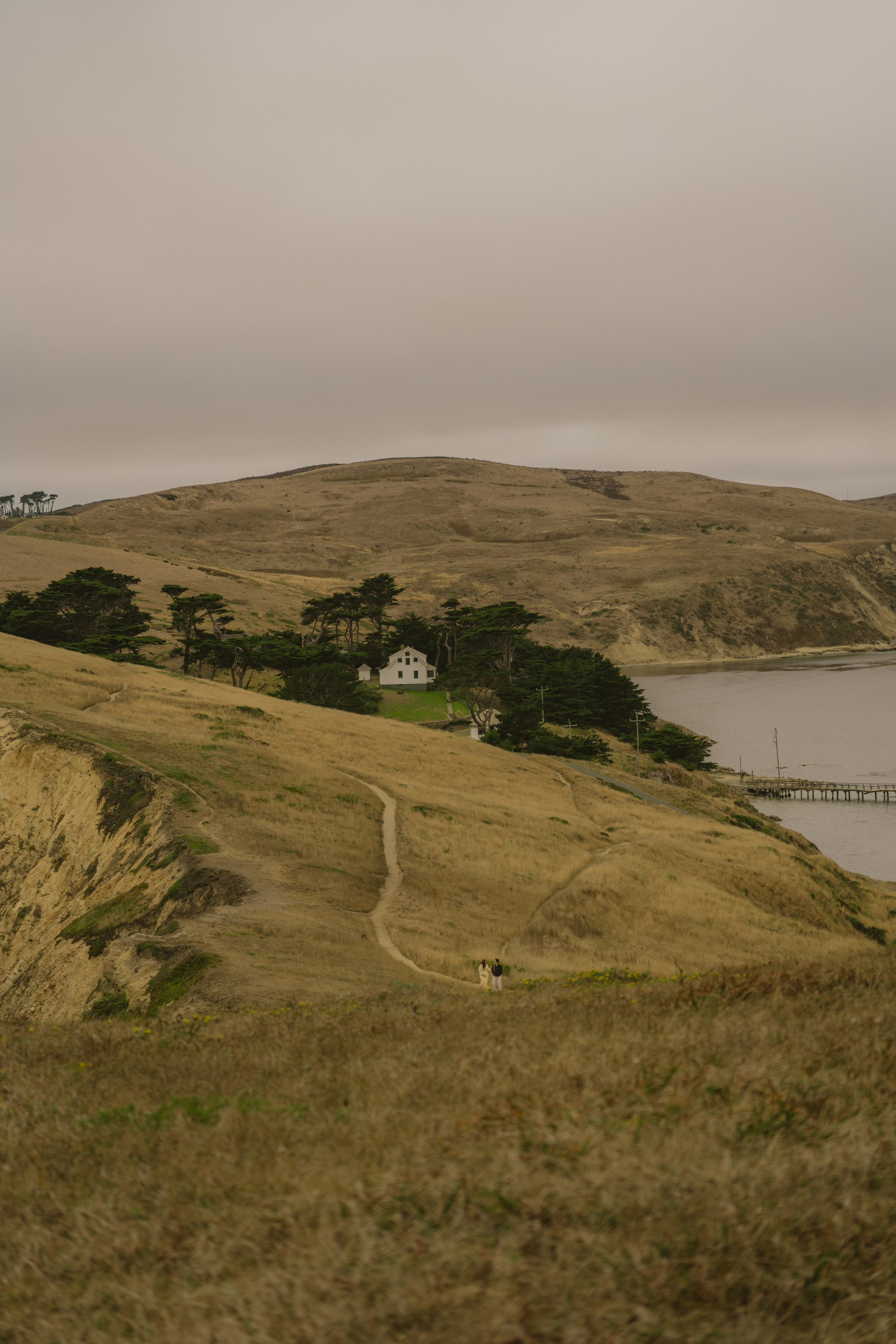 Proposal | Point Reyes. San Francisco Wedding & Elopement Photographeк | photography_of.nadia