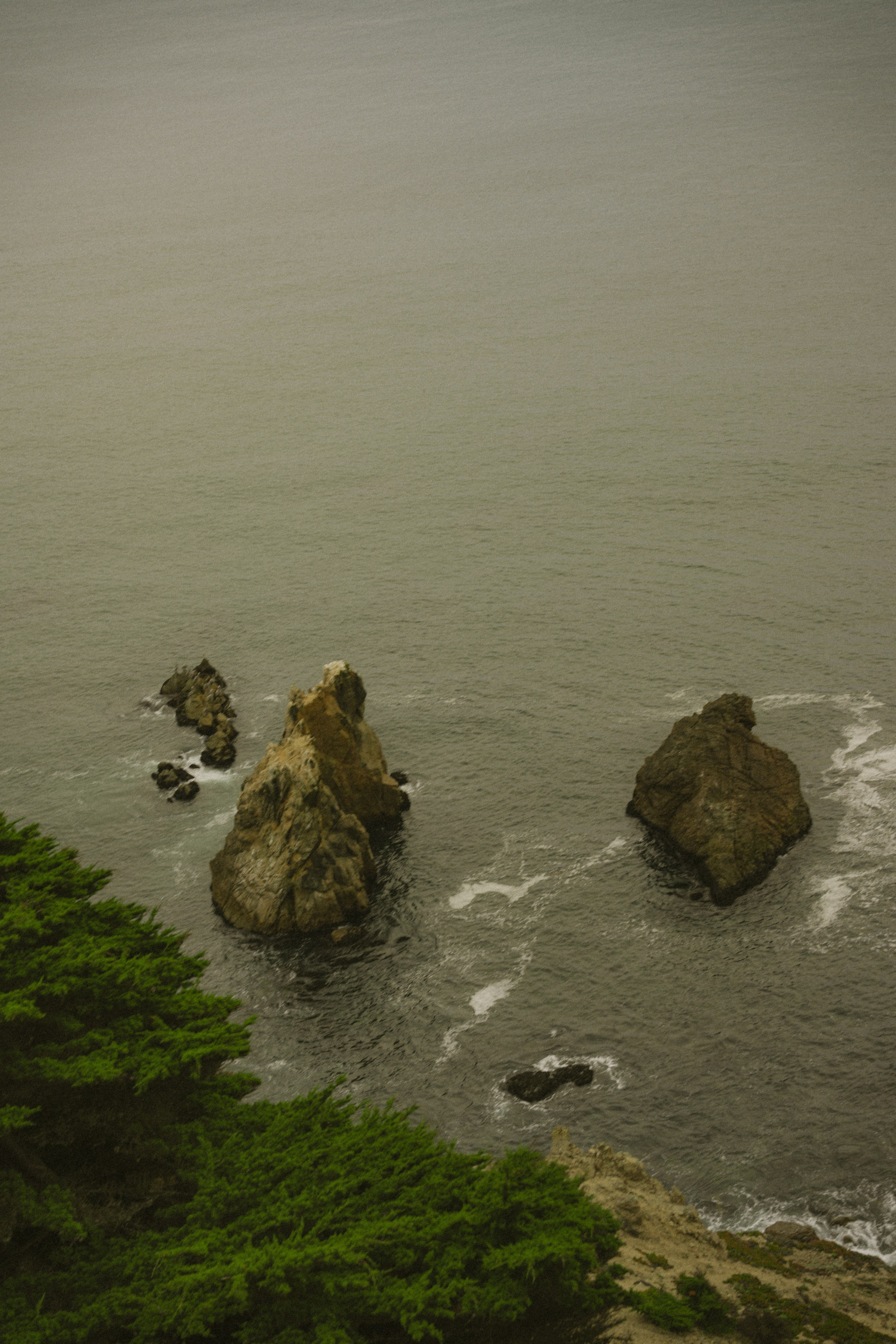 Proposal | Point Reyes. San Francisco Wedding & Elopement Photographeк | photography_of.nadia