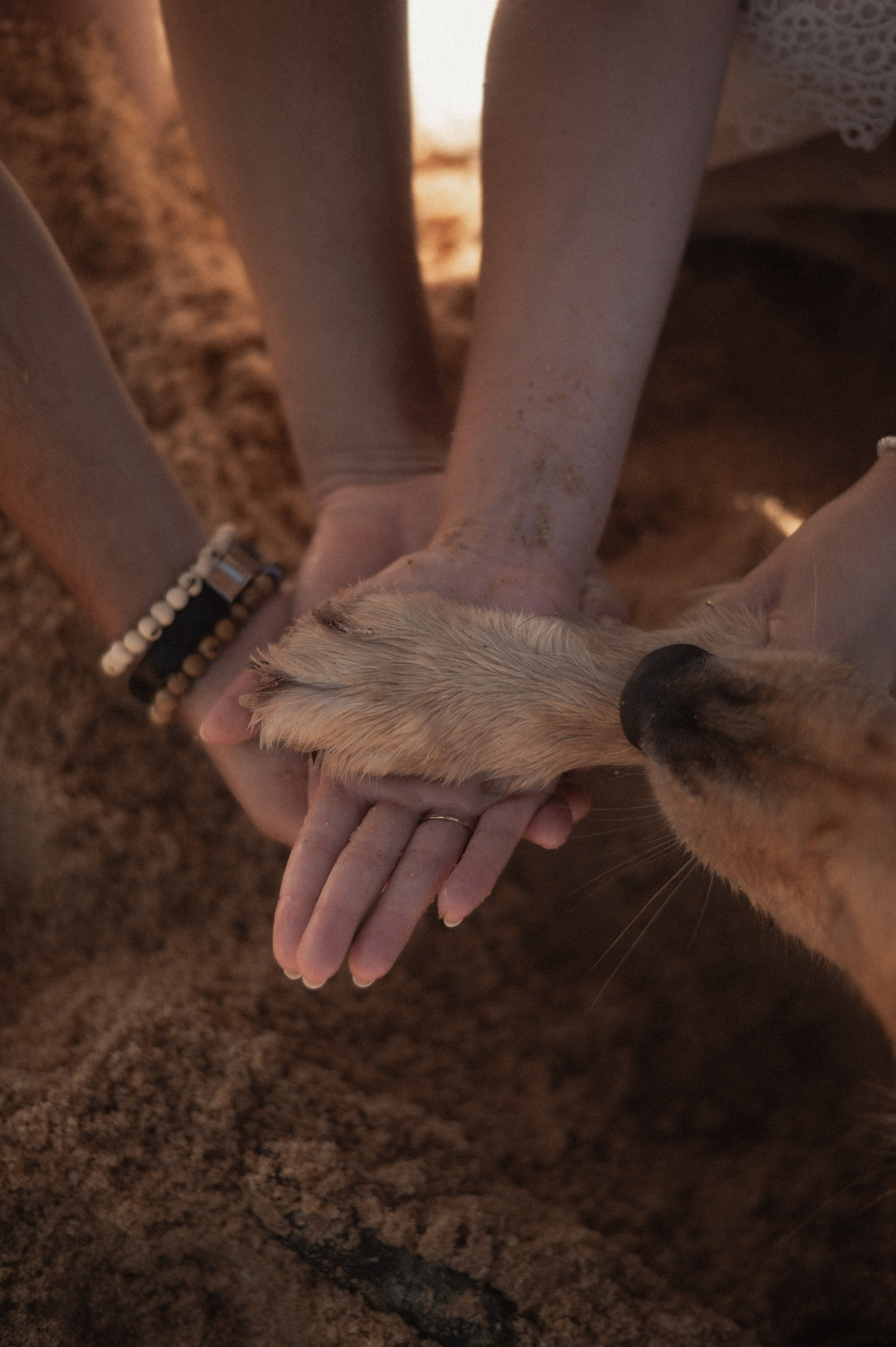 Isabella & Rodrigo | Vila Velha — ES. Lembrar não é só ver. É sentir de novo