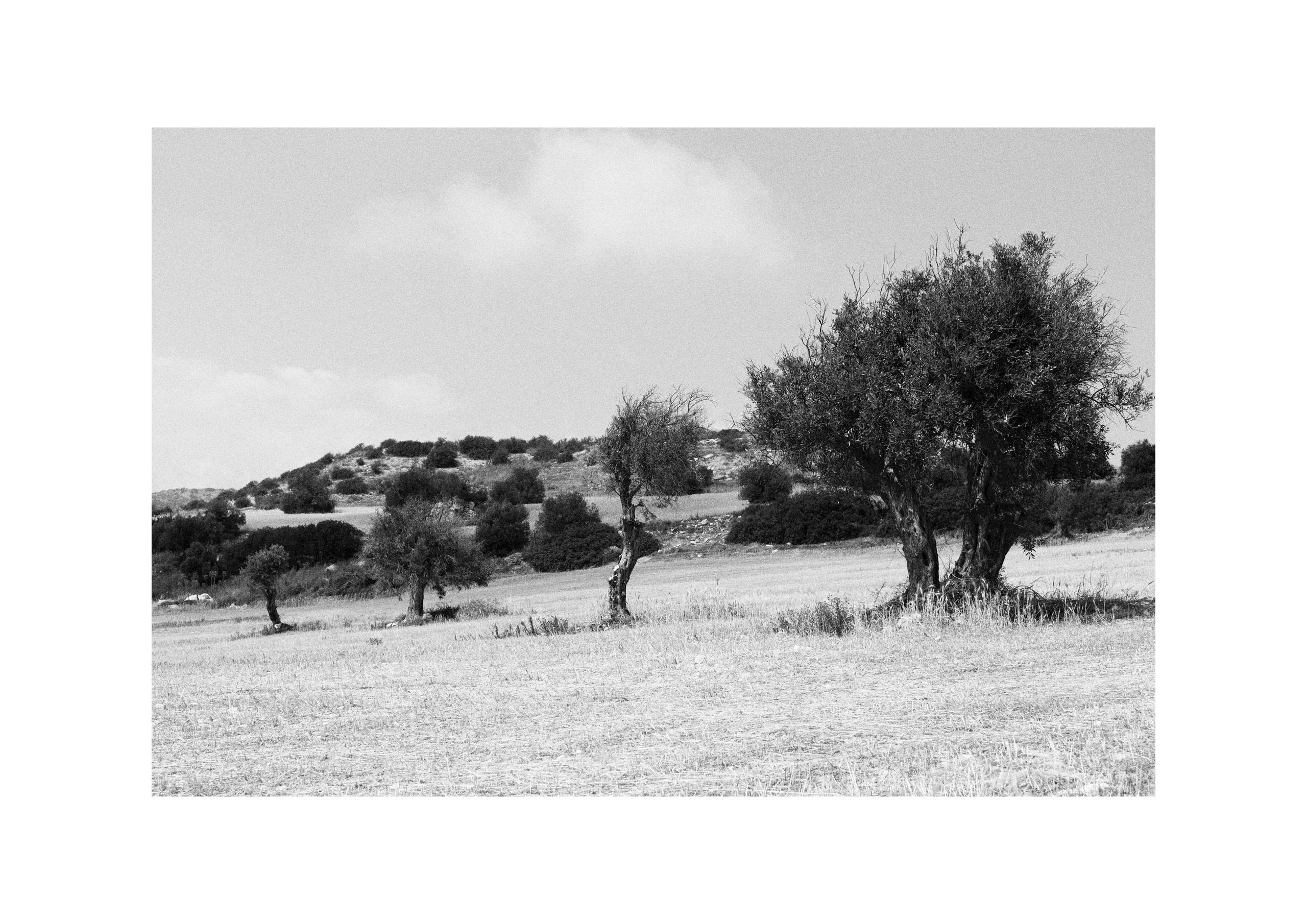 B&W. Cinema that you’ll never see