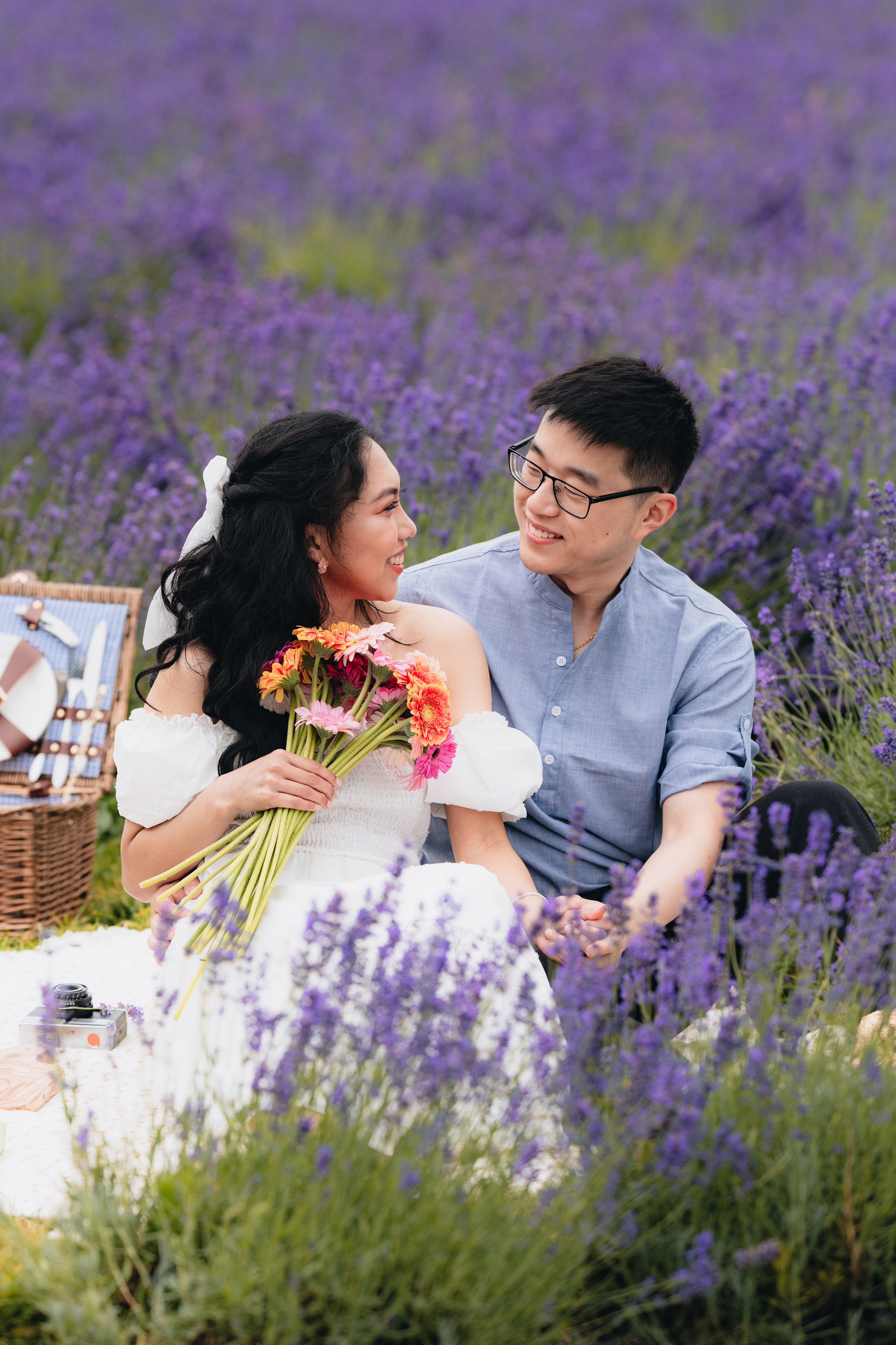 A & M Lavender farm. Tania Gandrabur, photographer in West Midlands, England