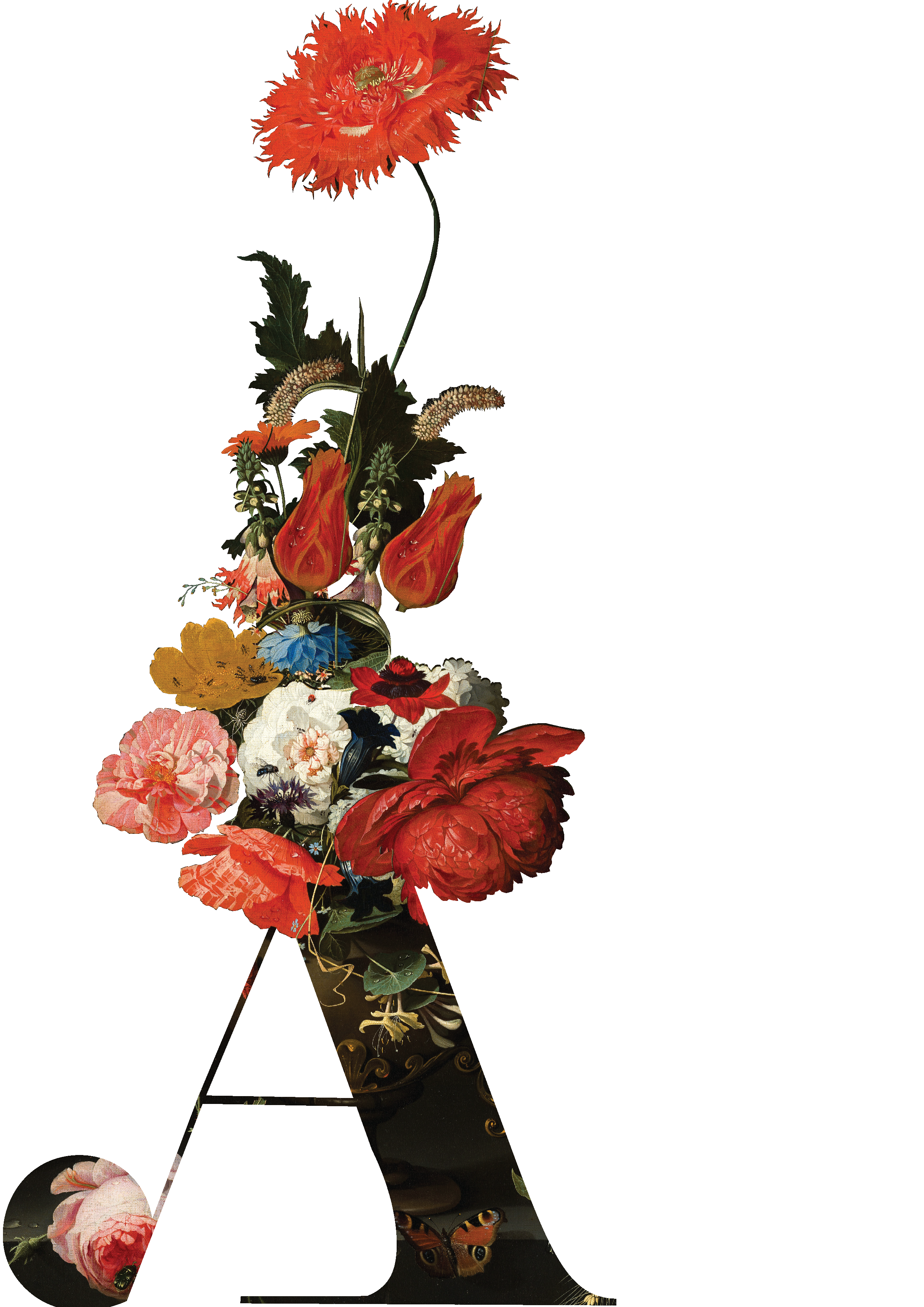 Graphic & Digital Design. Divign By Tehilah — Meaningful Graphic Design & Photography