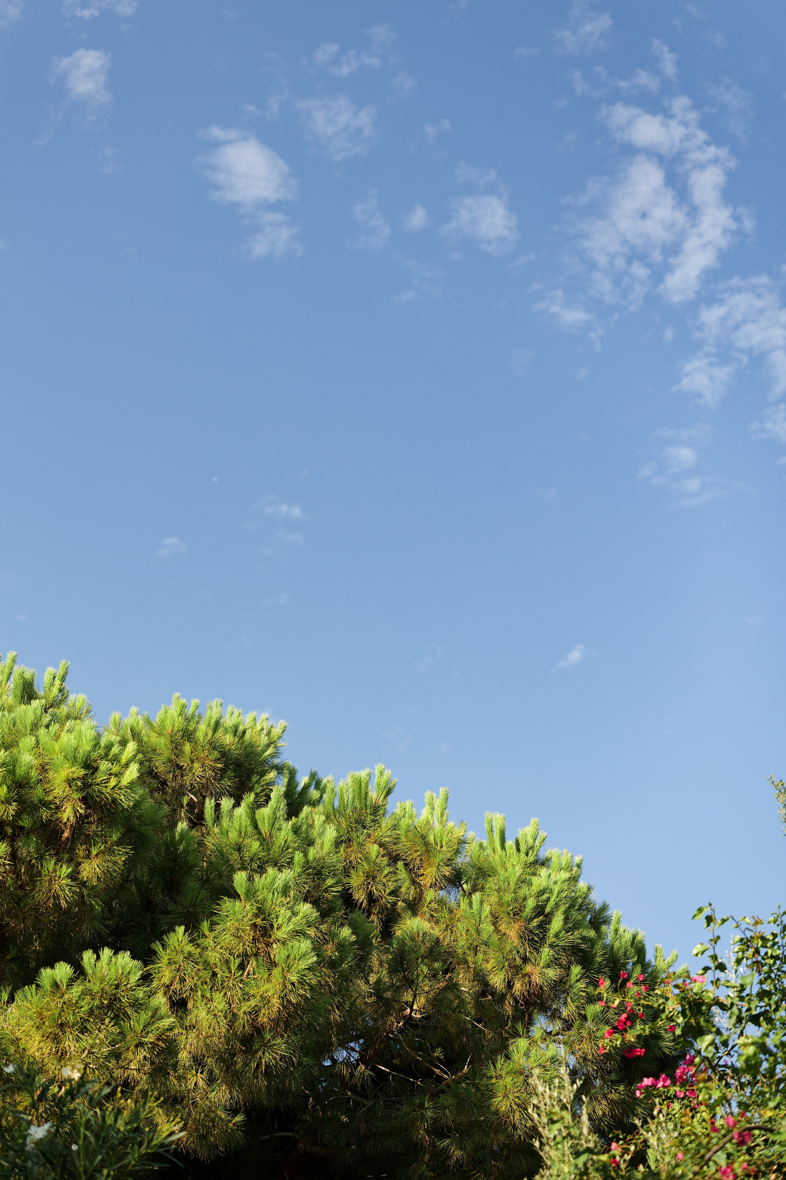 Wedding of Gracie & Joe at Gran Villa Rosa, Barcelona