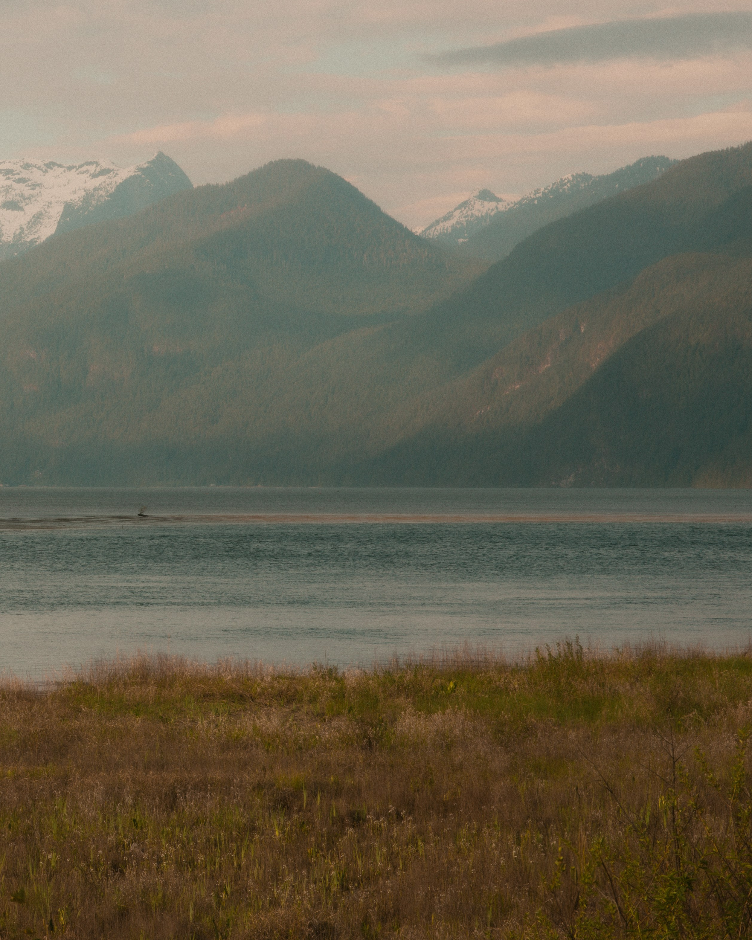 Friends. Yana Bobrova | Artistic Photography