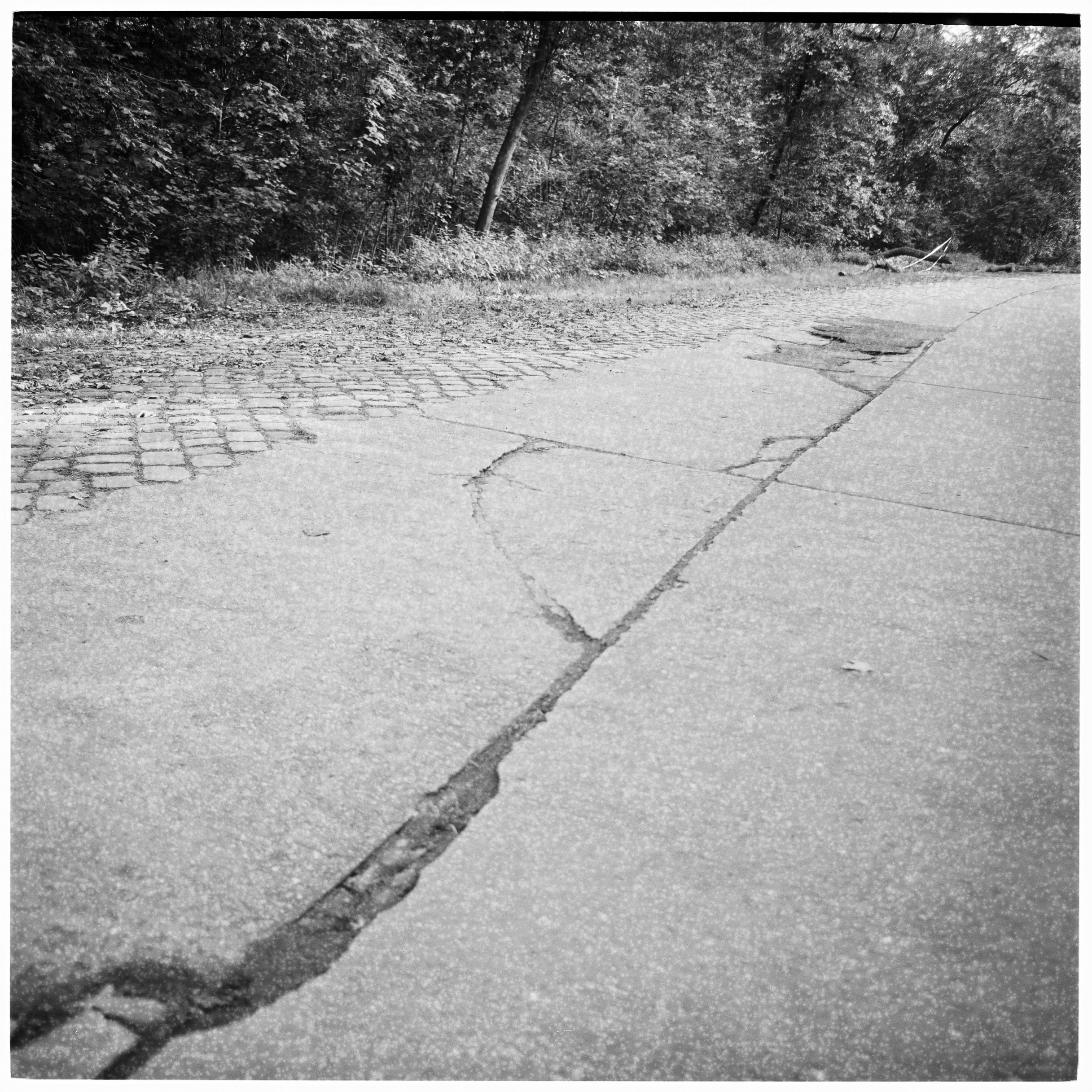 Analog Sketches. Anastasia Musinova