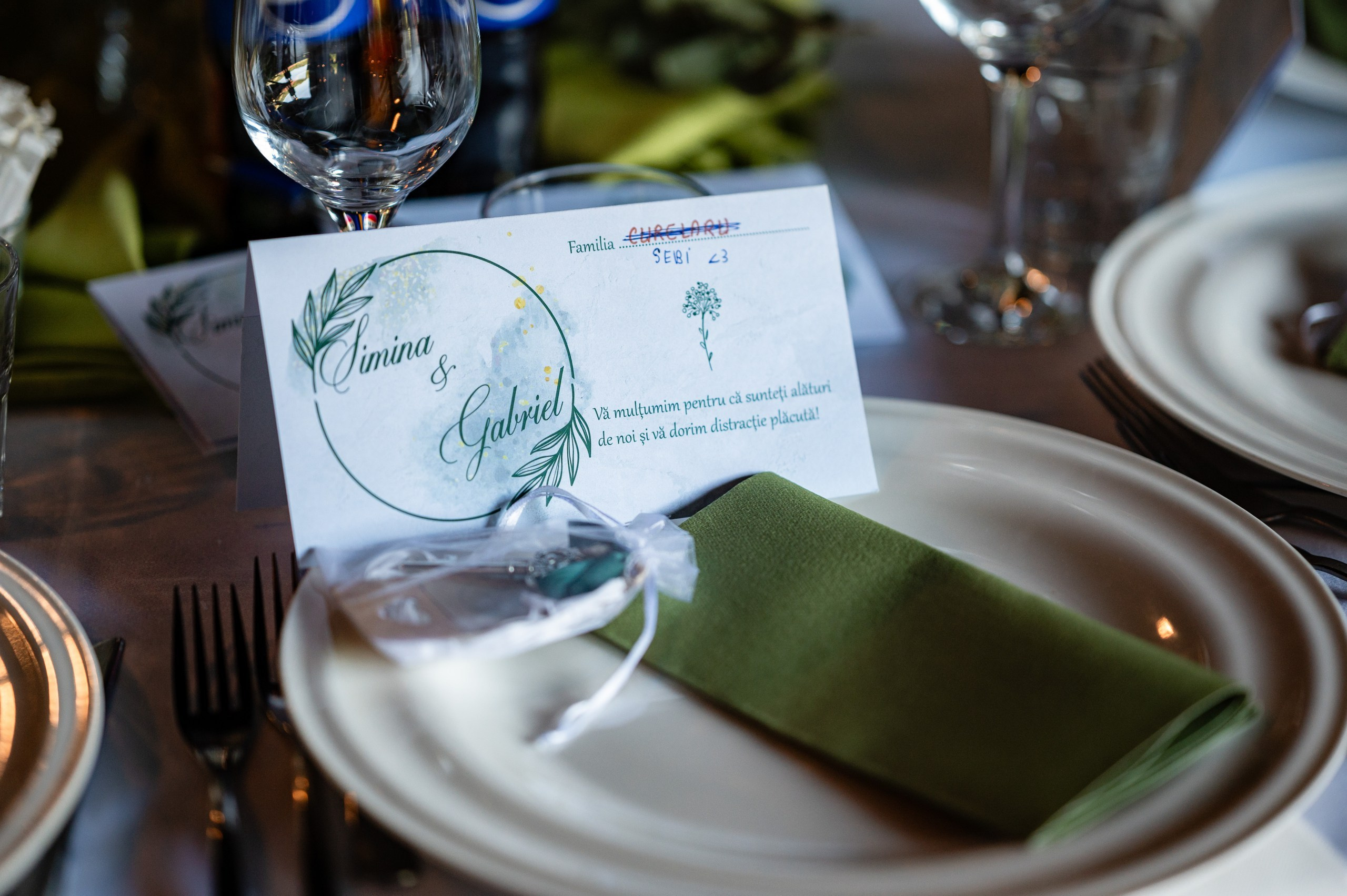 Simina & Gabriel. BCarp Productions