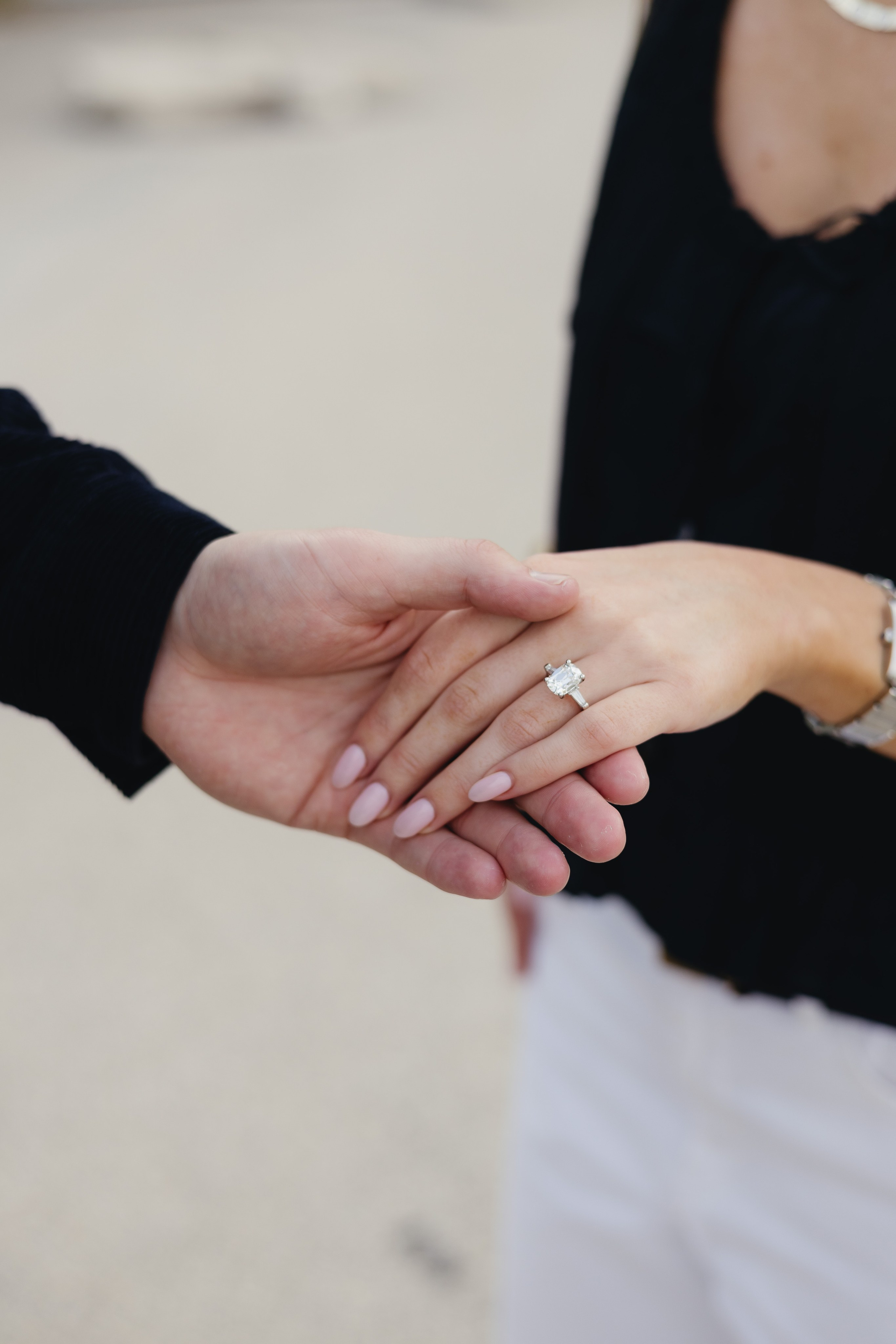 Lincoln Park Proposal — Savannah&Trevor