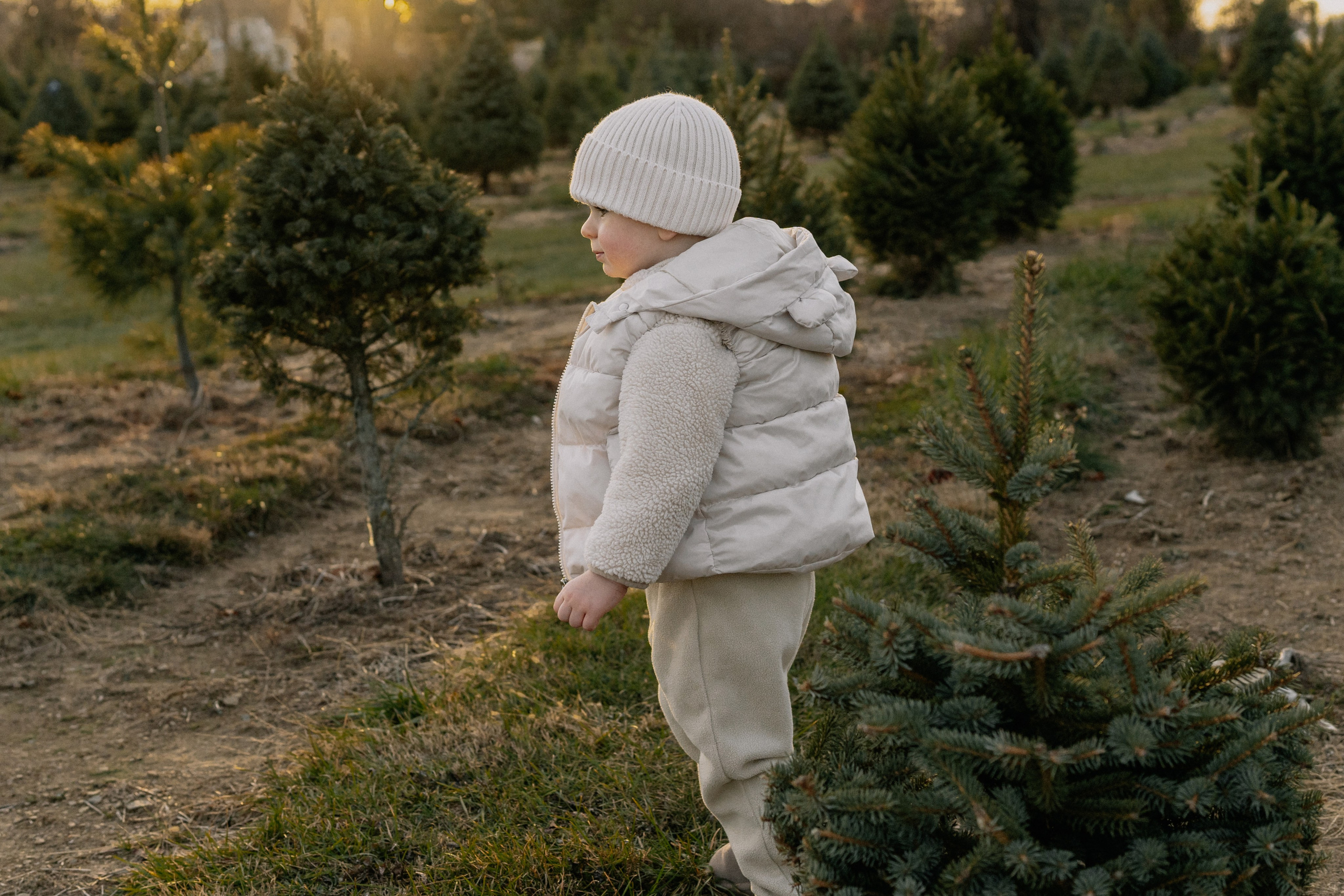Christmas Farm Photography – Festive & Cozy Memories. Alisa Tant — Family and newborn photographer Bucks County, Montgomery county, Philadelphia, NJ