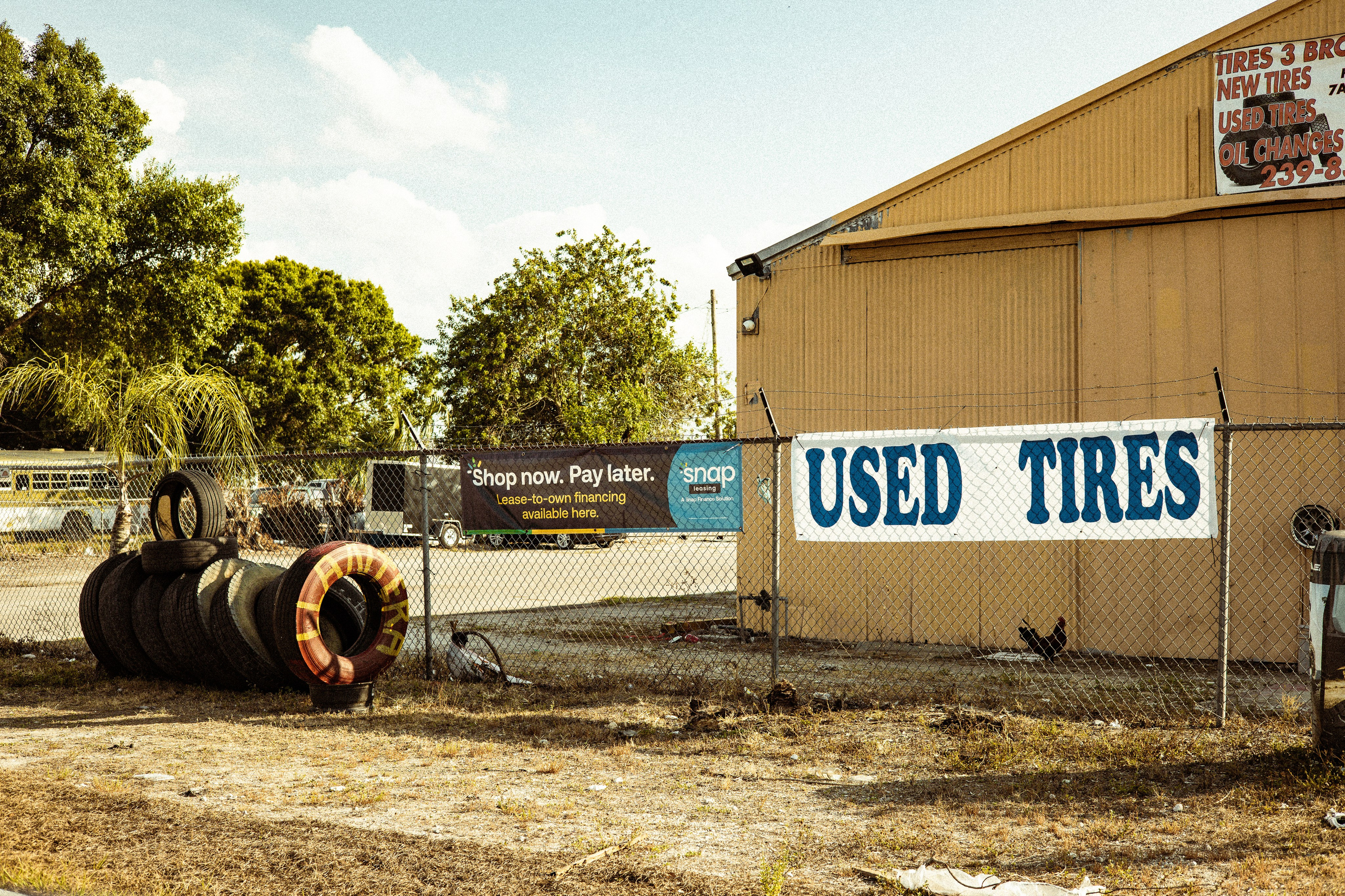 Americana — Immokolee. Out and About 239