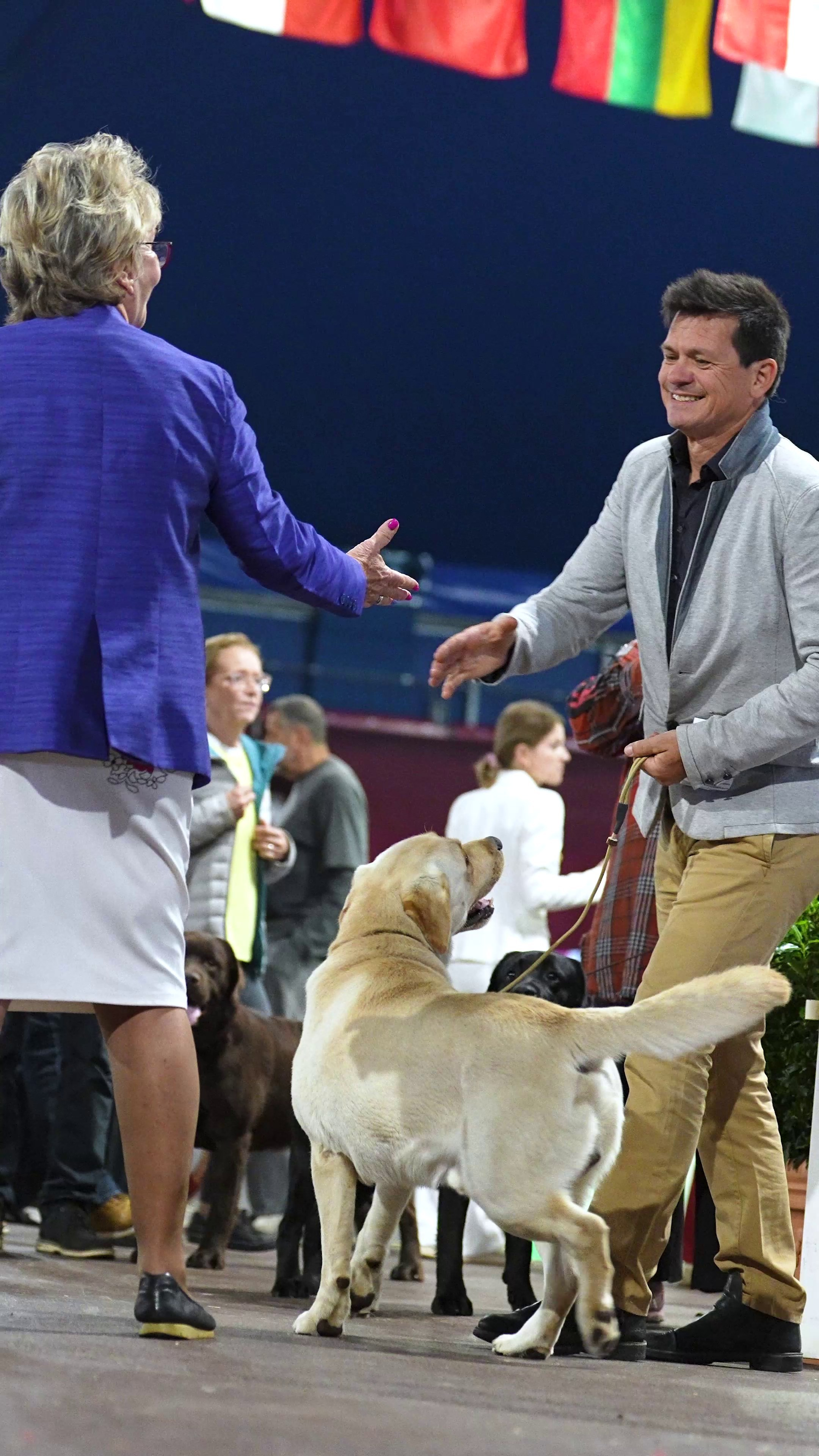 Expo canine 🇲🇨 Monaco 9-10/05/2026. Photographe à Strasbourg | Les animaux, Portraits, Studio, Événements