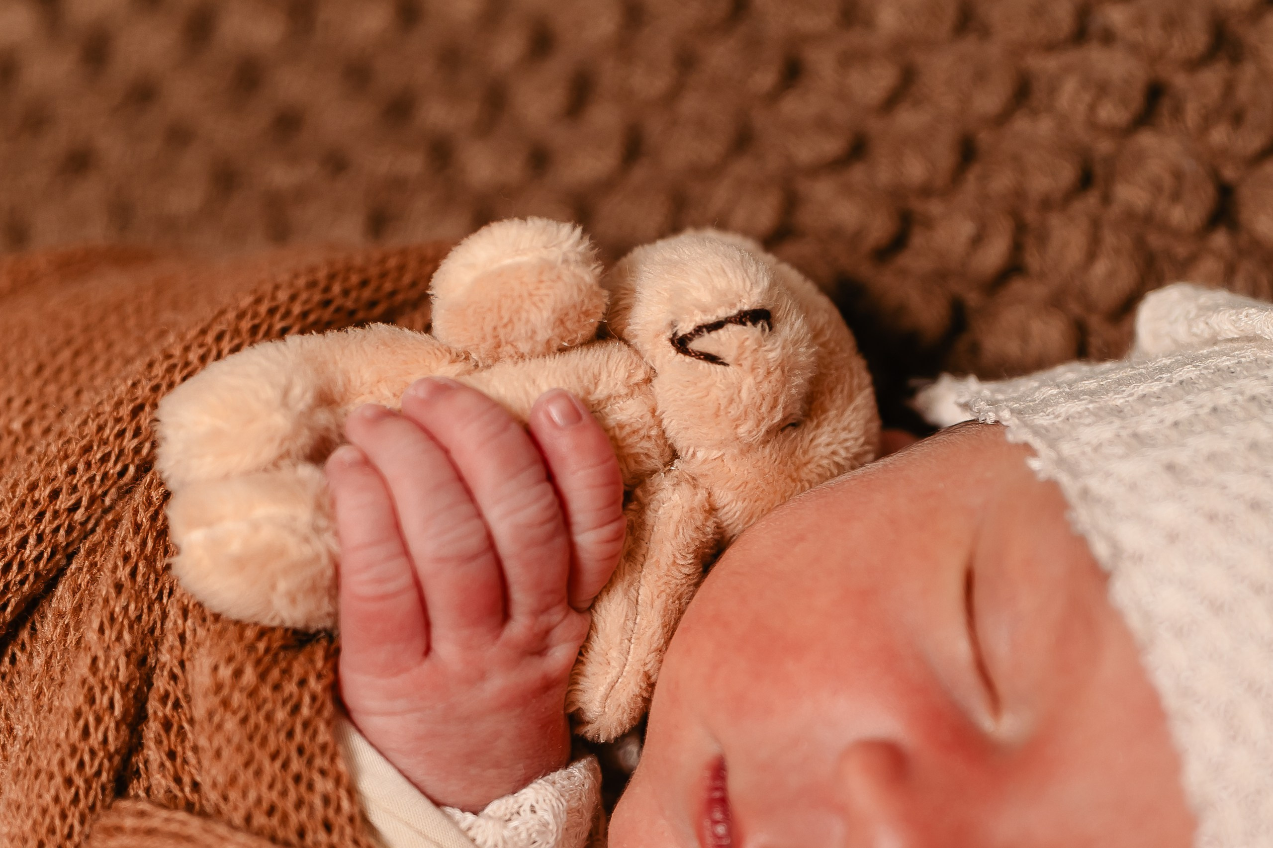 Leo — Newborn. Beneduzzi Fotografias