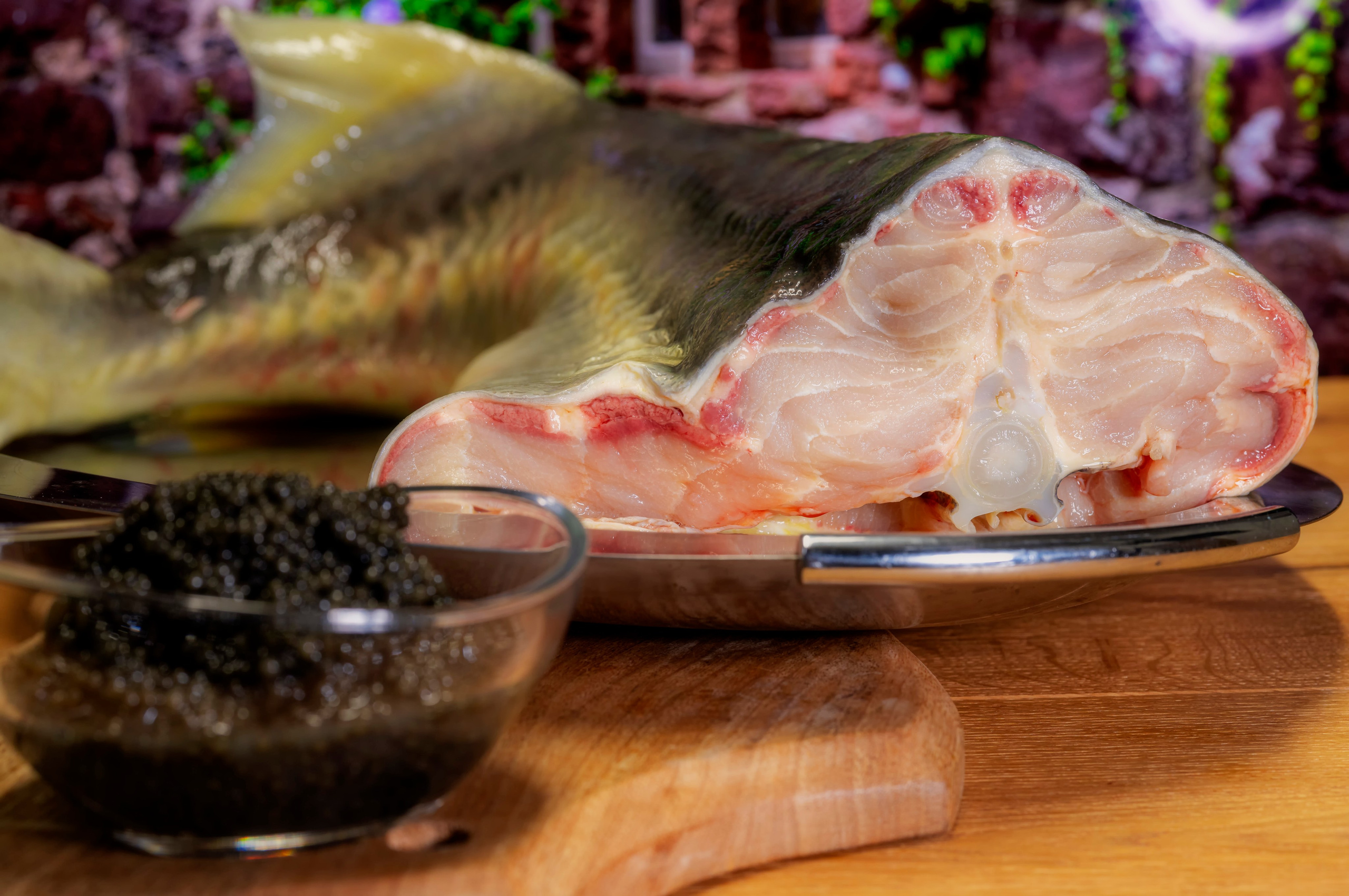 Food Fotografie. LUKIN IGOR Photography