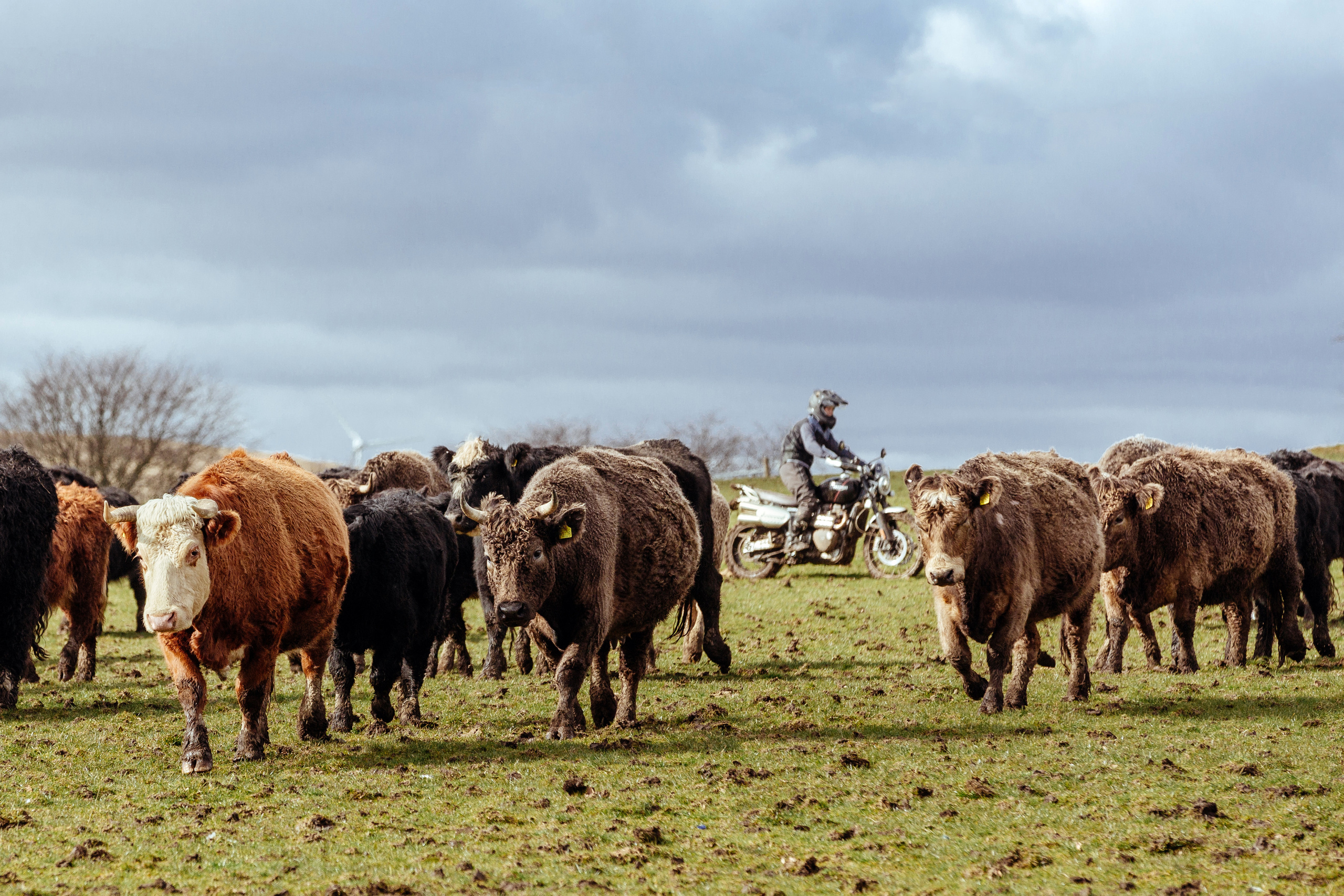 Adventure. Automotive photographer based in London
