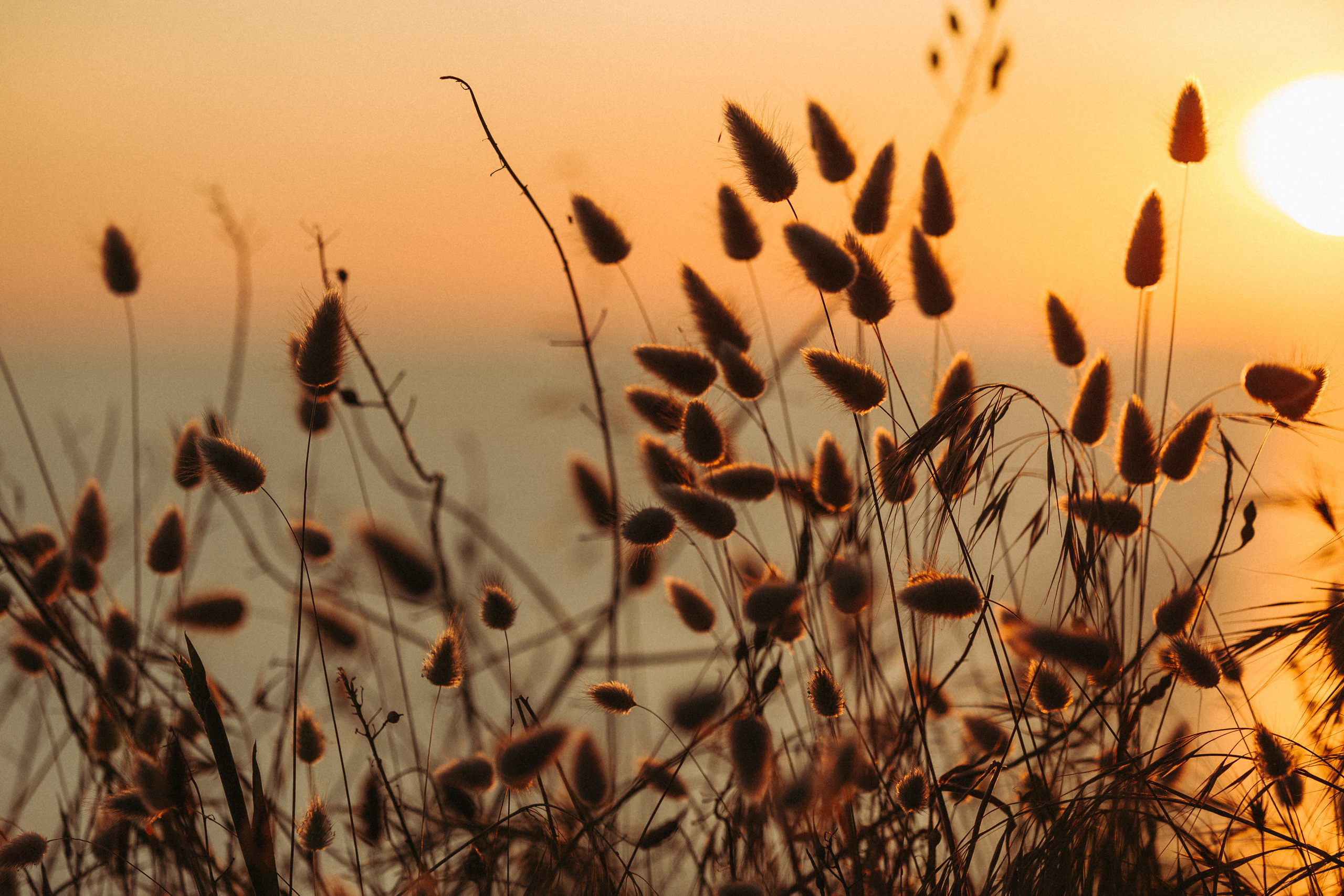 Adventure. Automotive photographer based in London
