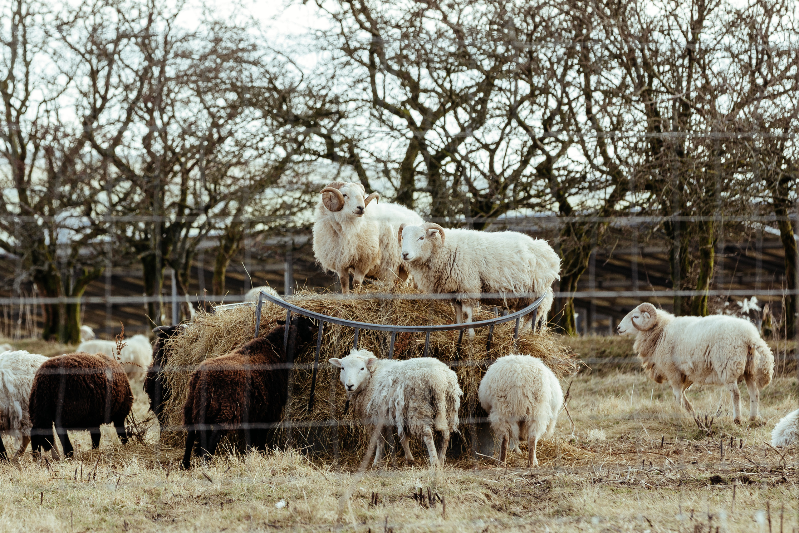 Adventure. Automotive photographer based in London