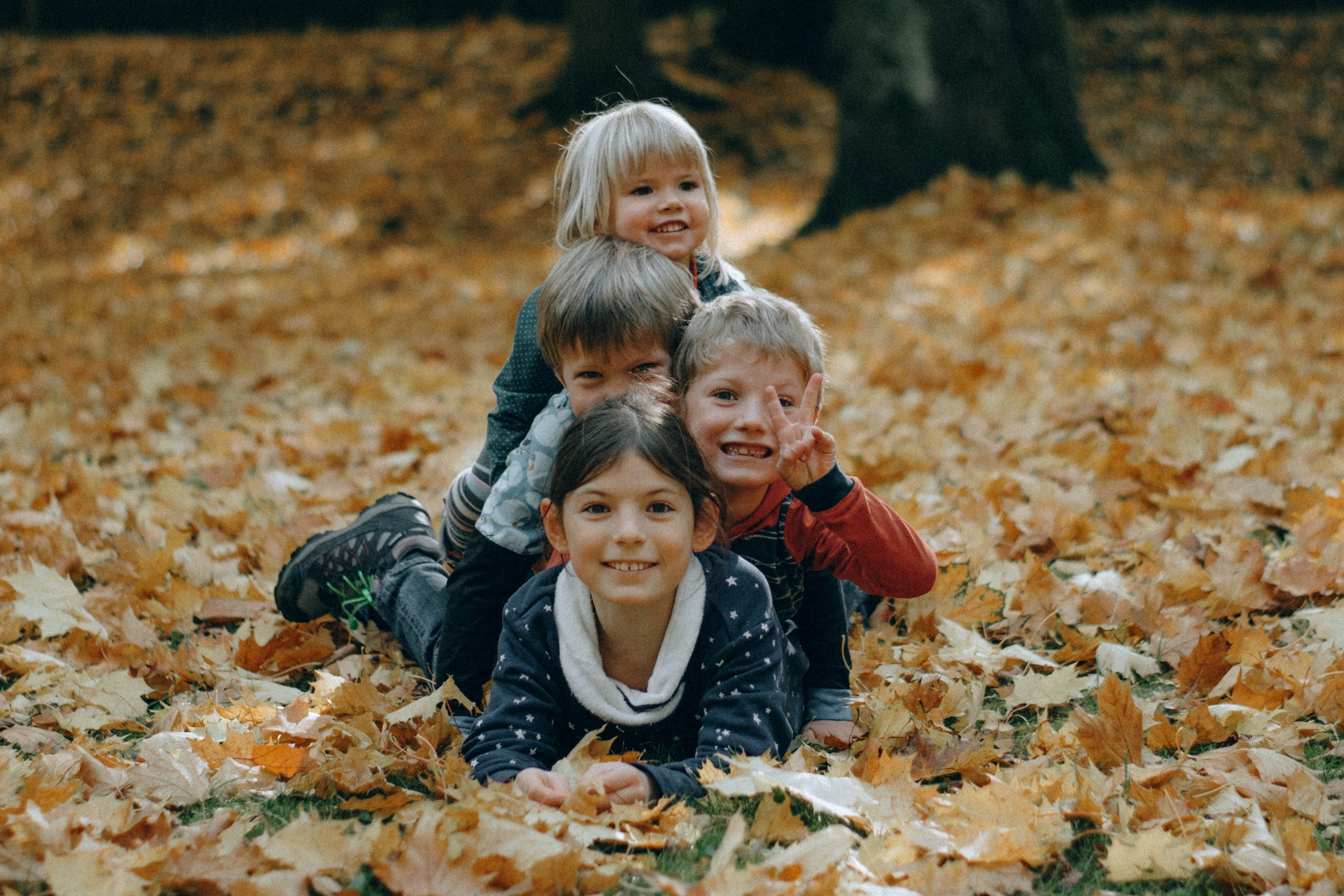 Дети играют в осенних листьях — семейная фотосессия на природе, детские фотографии