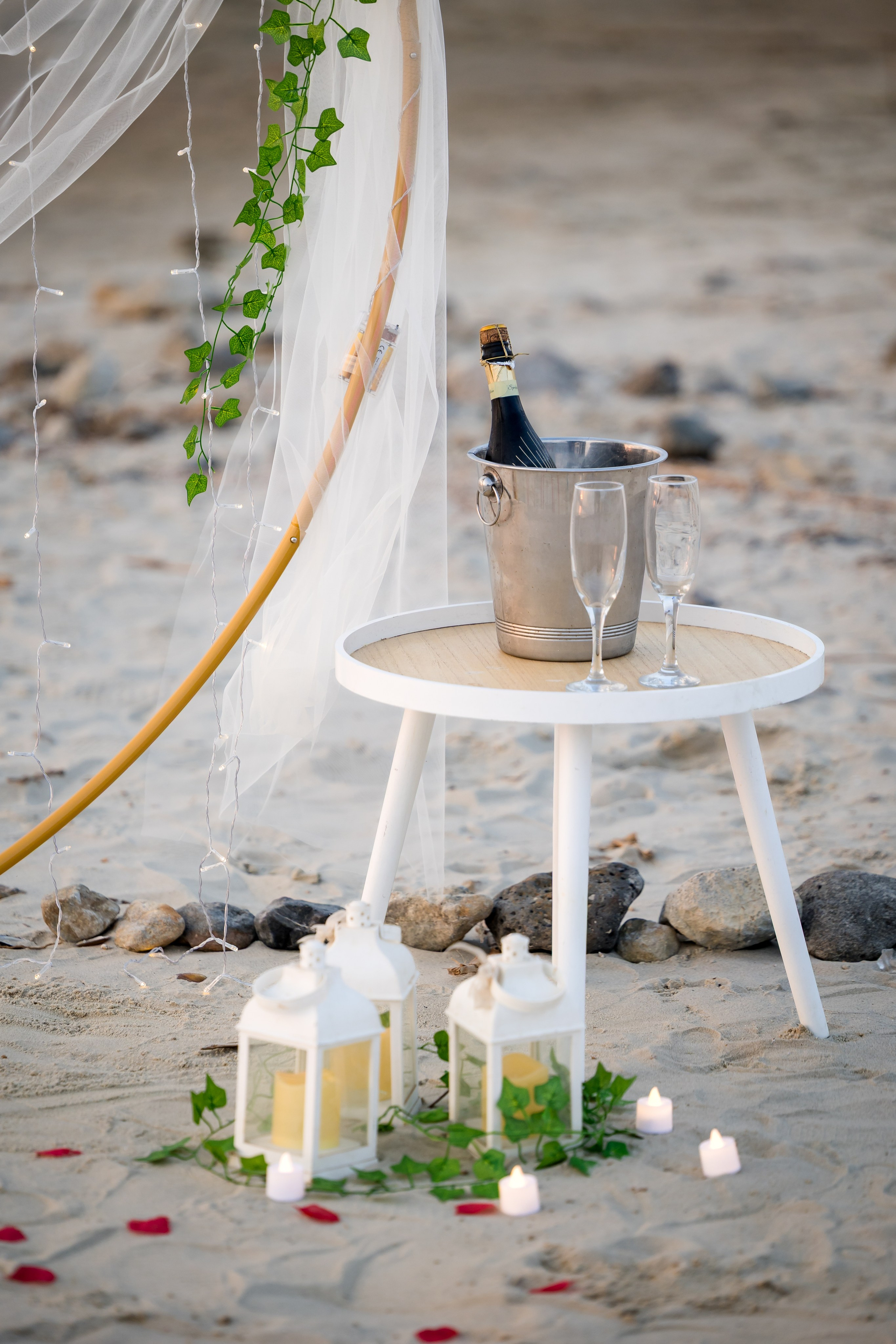 Marie & Rony proposal. AMIR BUCHNIK PHOTOGRAPHER