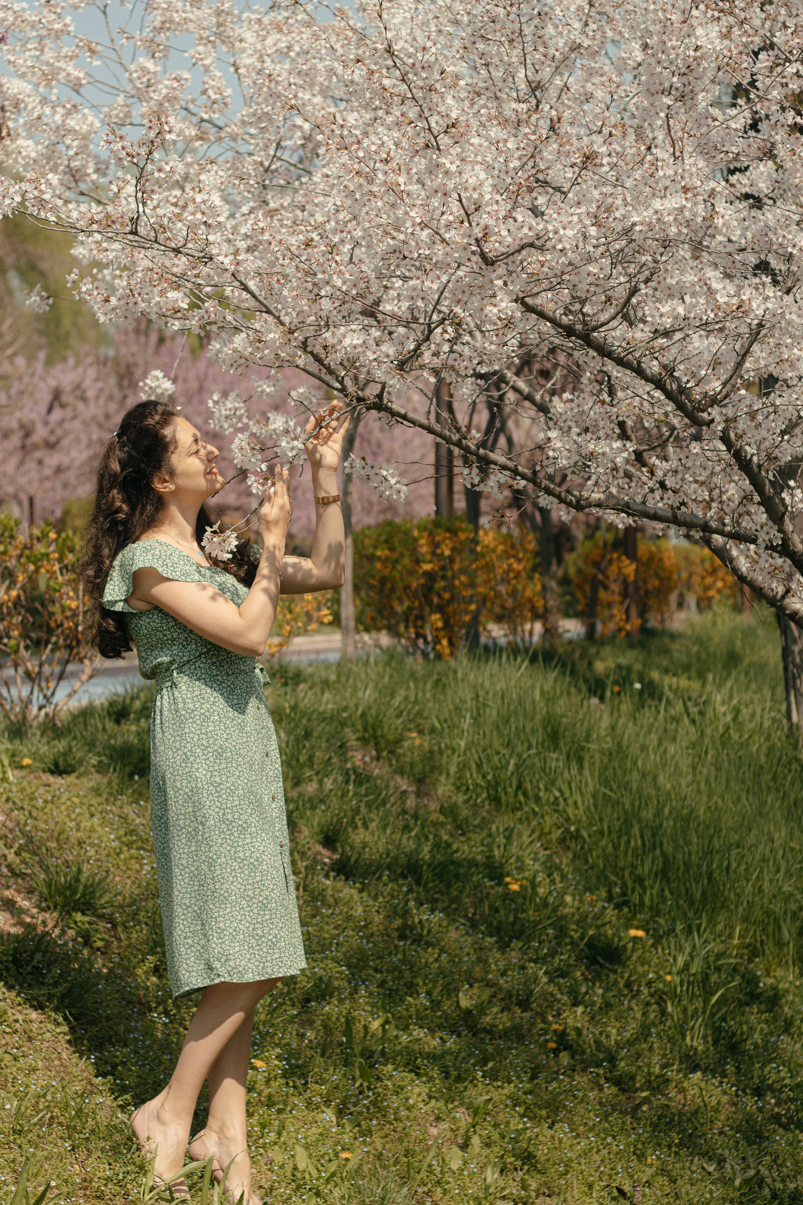 Асмик. Фотограф в Ташкенте, Аксенова Дарья