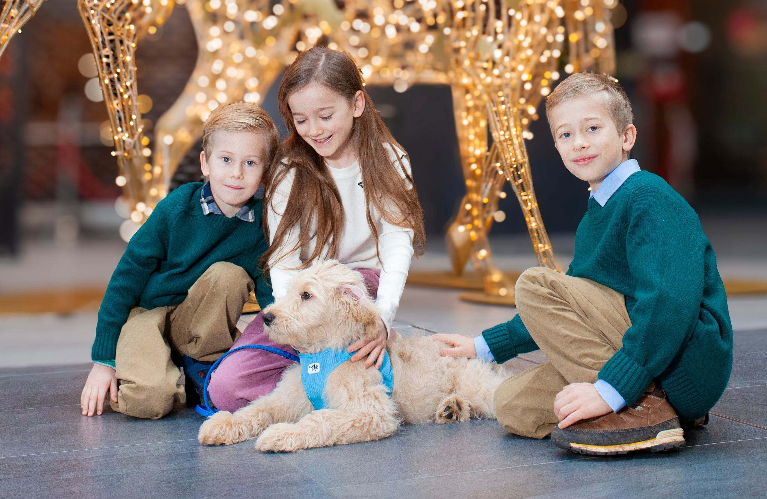 Family 3. ENYA RODAK PHOTOGRAPHY