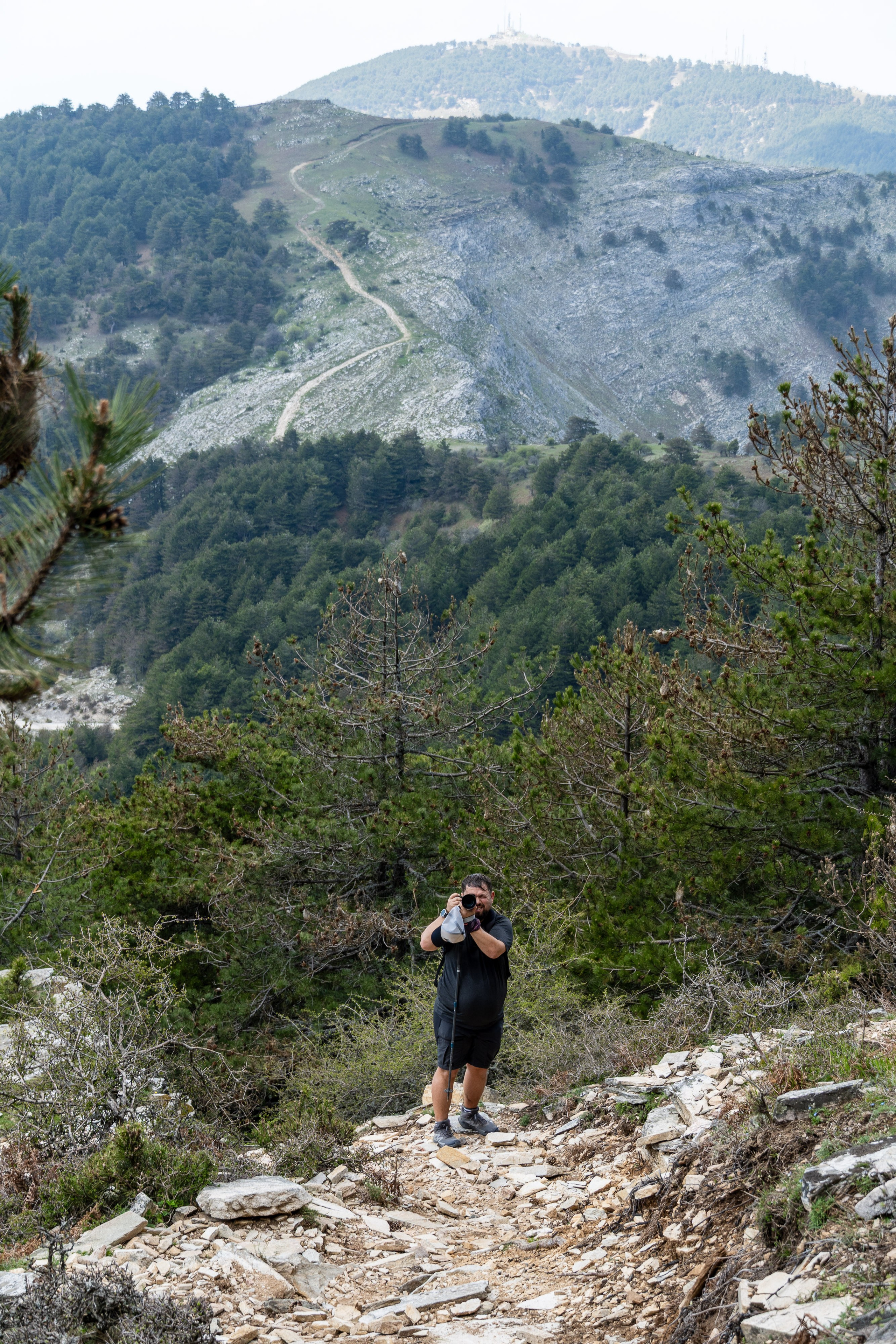 Thasos 2025. Fotografiideplacere.net