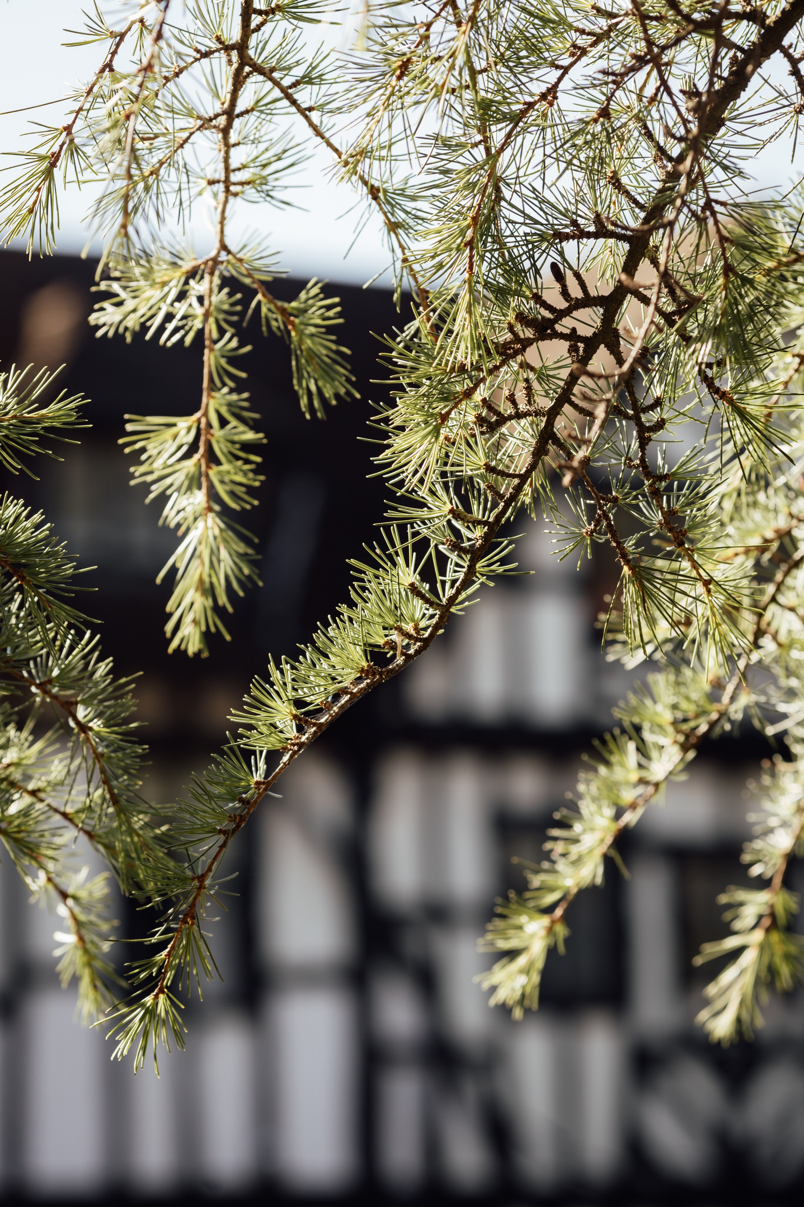 Chloe & Andre -The Manor Elstree, Hertfordshire. Timeless Wedding & Event Photography from London to the world
