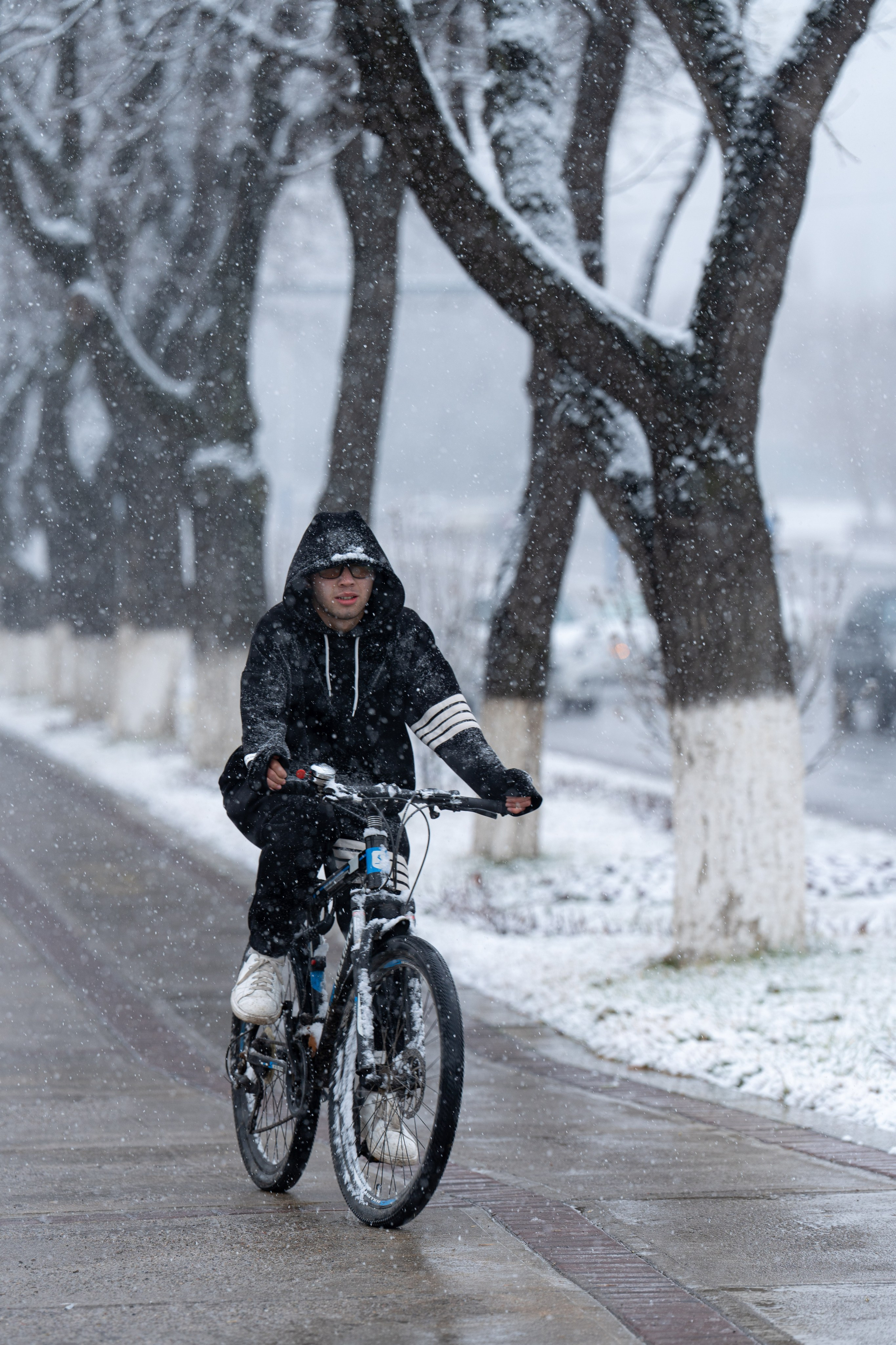 Первый снег в 2024 году. Георгий Намазов | Фотограф в Ташкенте
