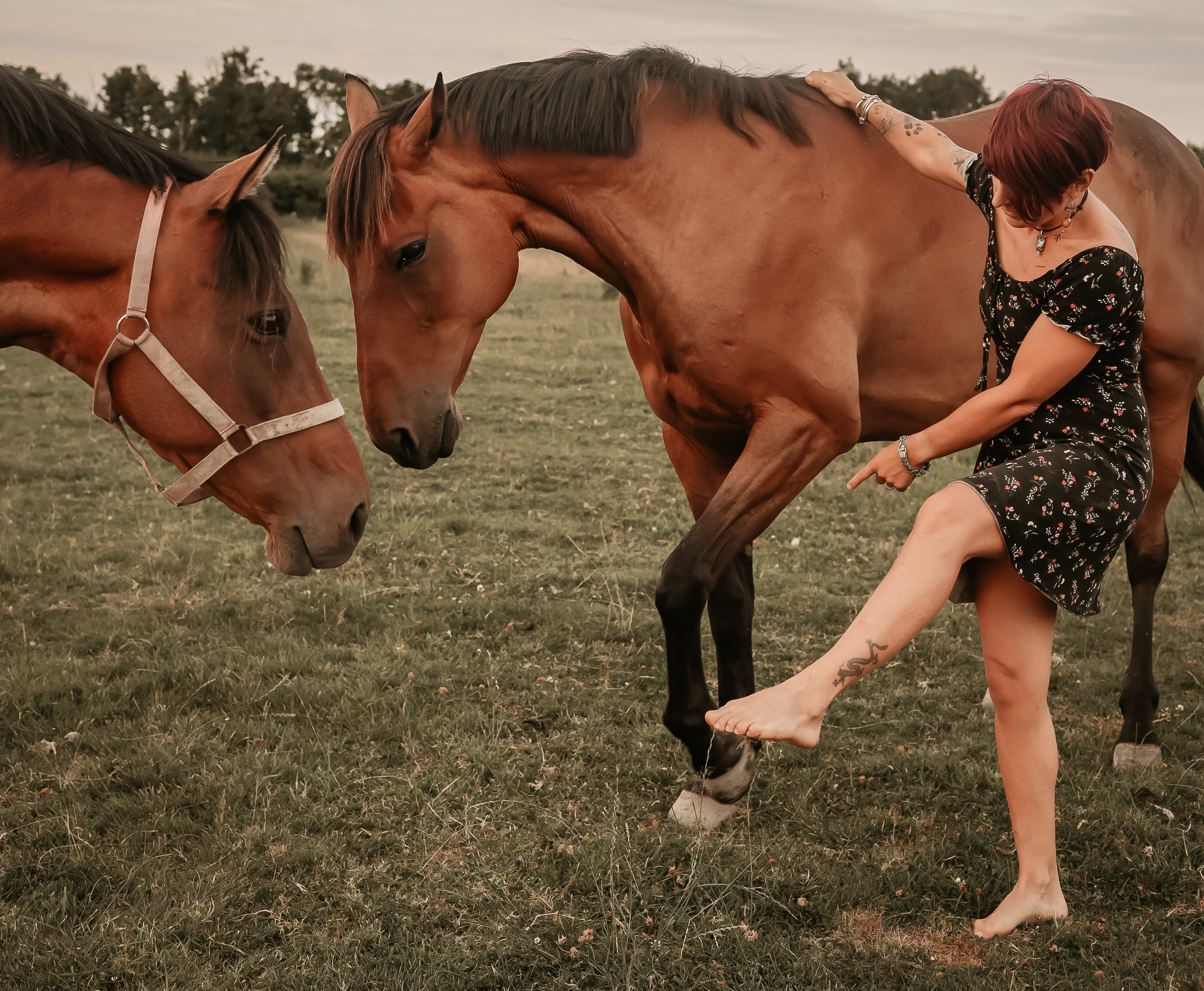 Soulmates. Photographer Co Dublin, Balbriggan — Agata Maliseva